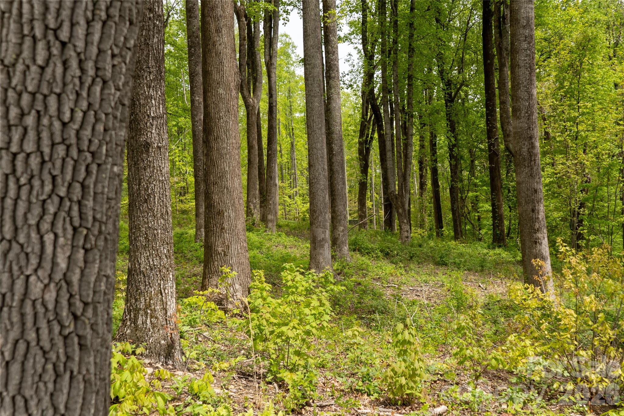 000 Mountain Grove Lane Unit: 71