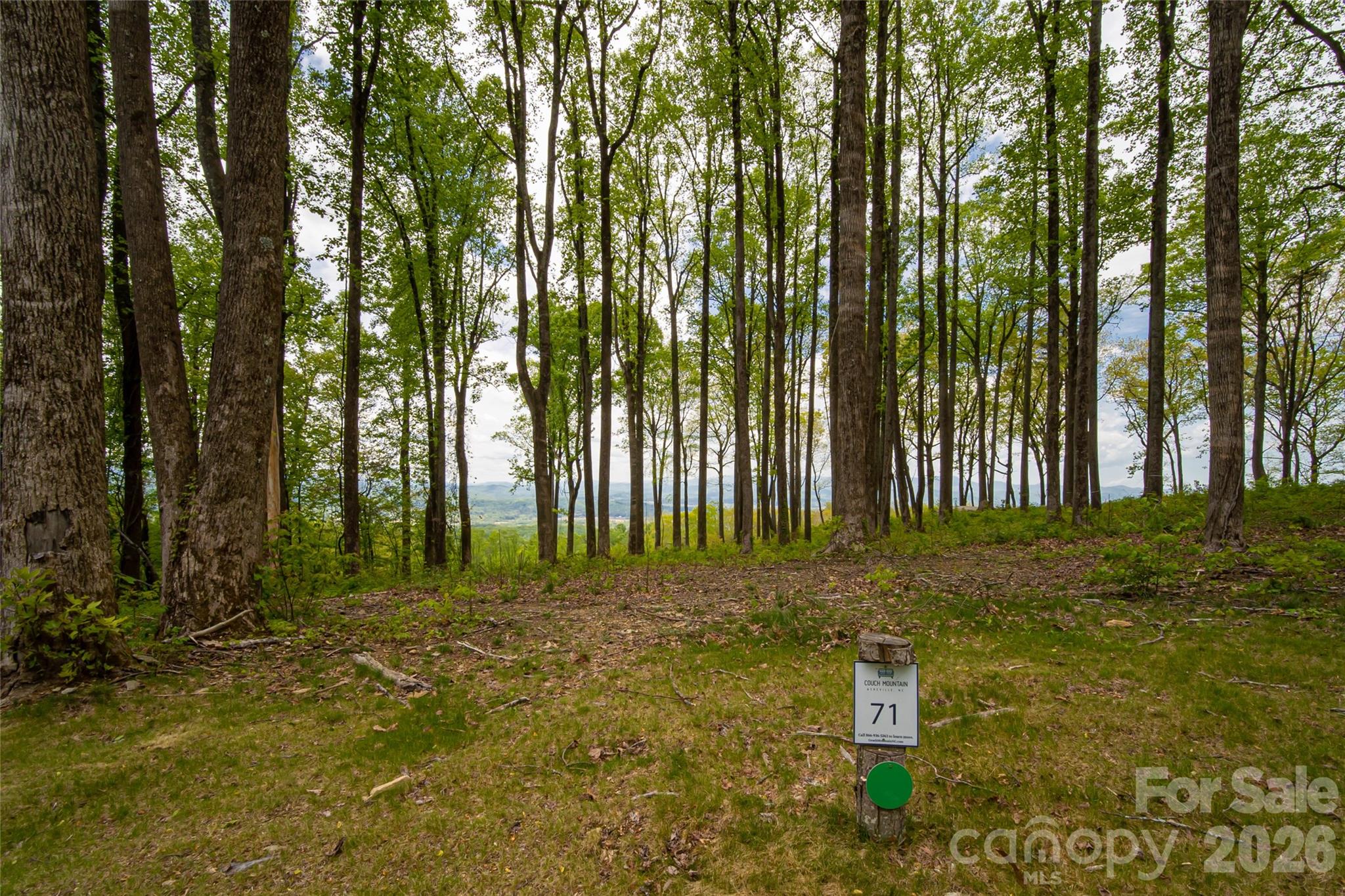 000 Mountain Grove Lane Unit: 71