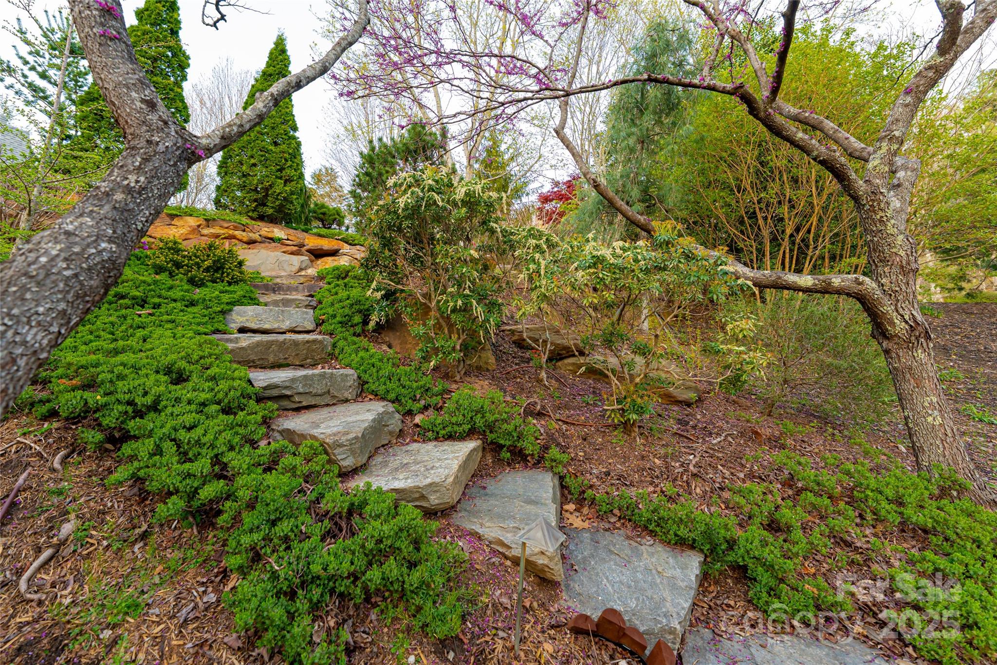 256 Senator Reynolds Road