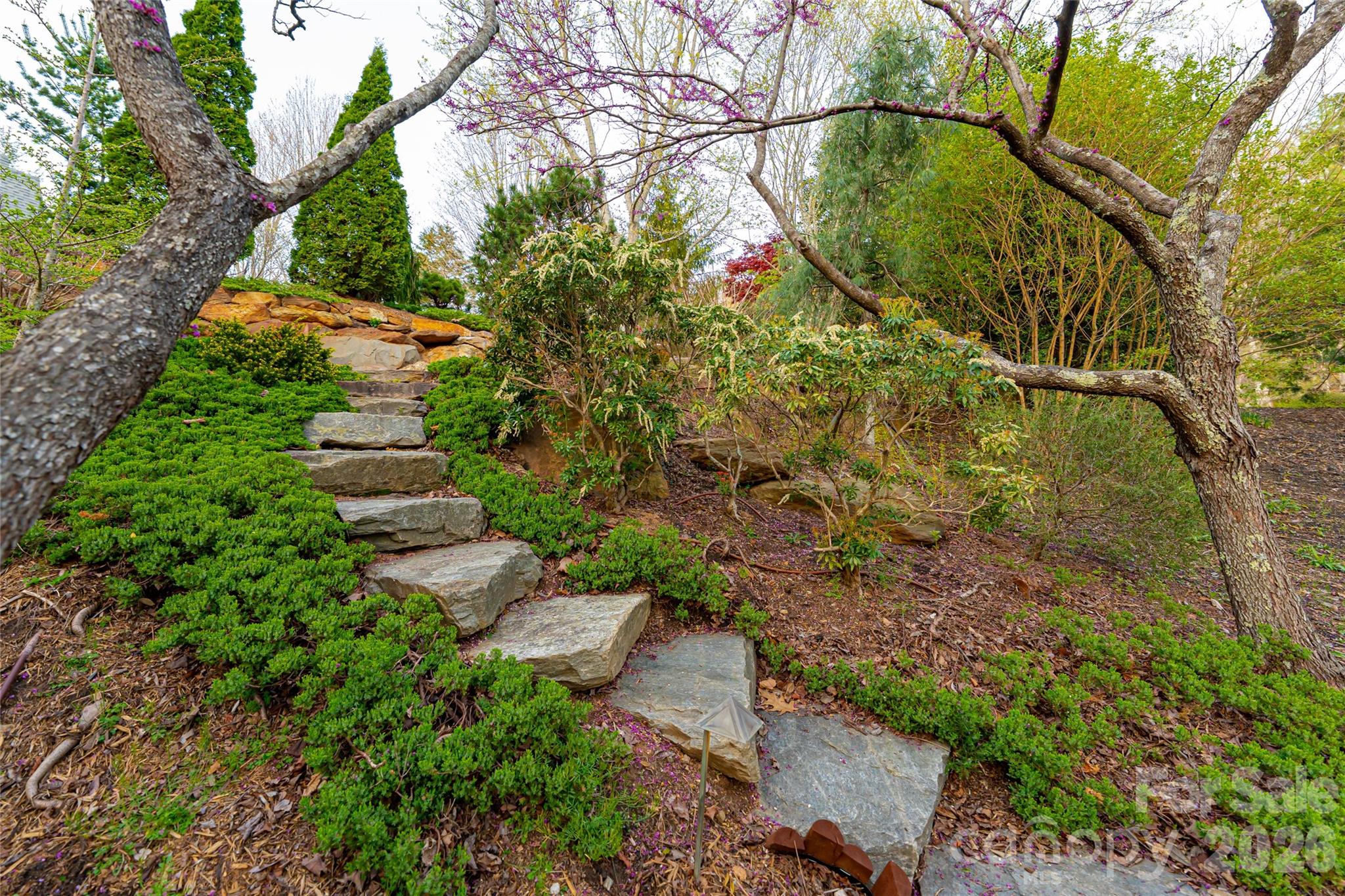 256 Senator Reynolds Road