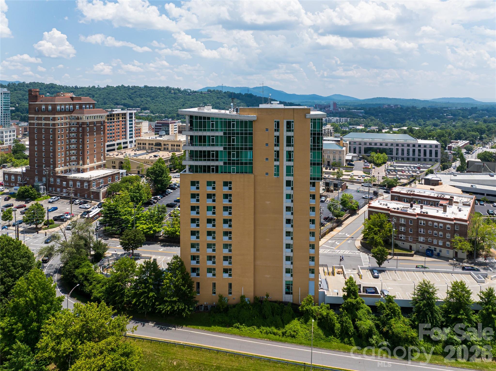 151 Haywood Street Unit: 1002