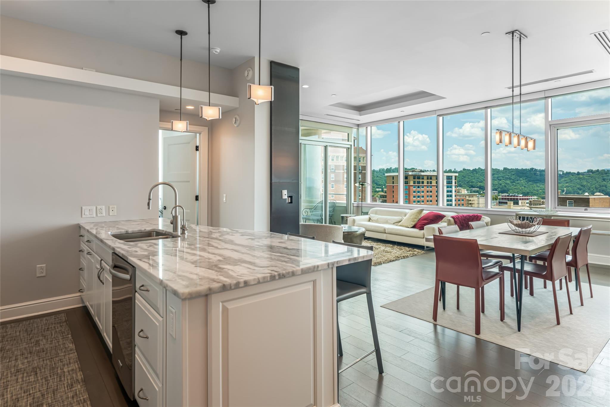 151 Haywood Street Unit: 1002