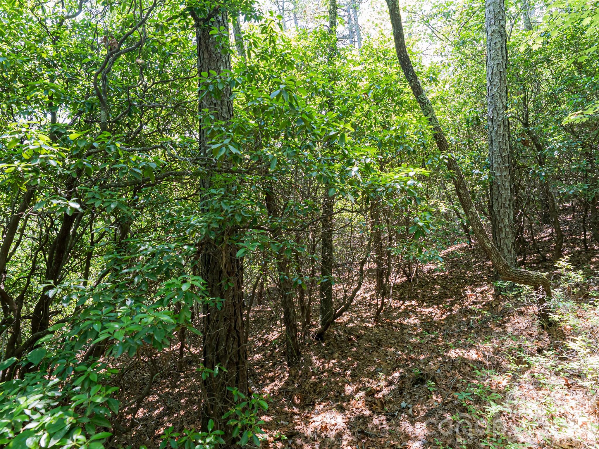 1000 Sutton Creek Road