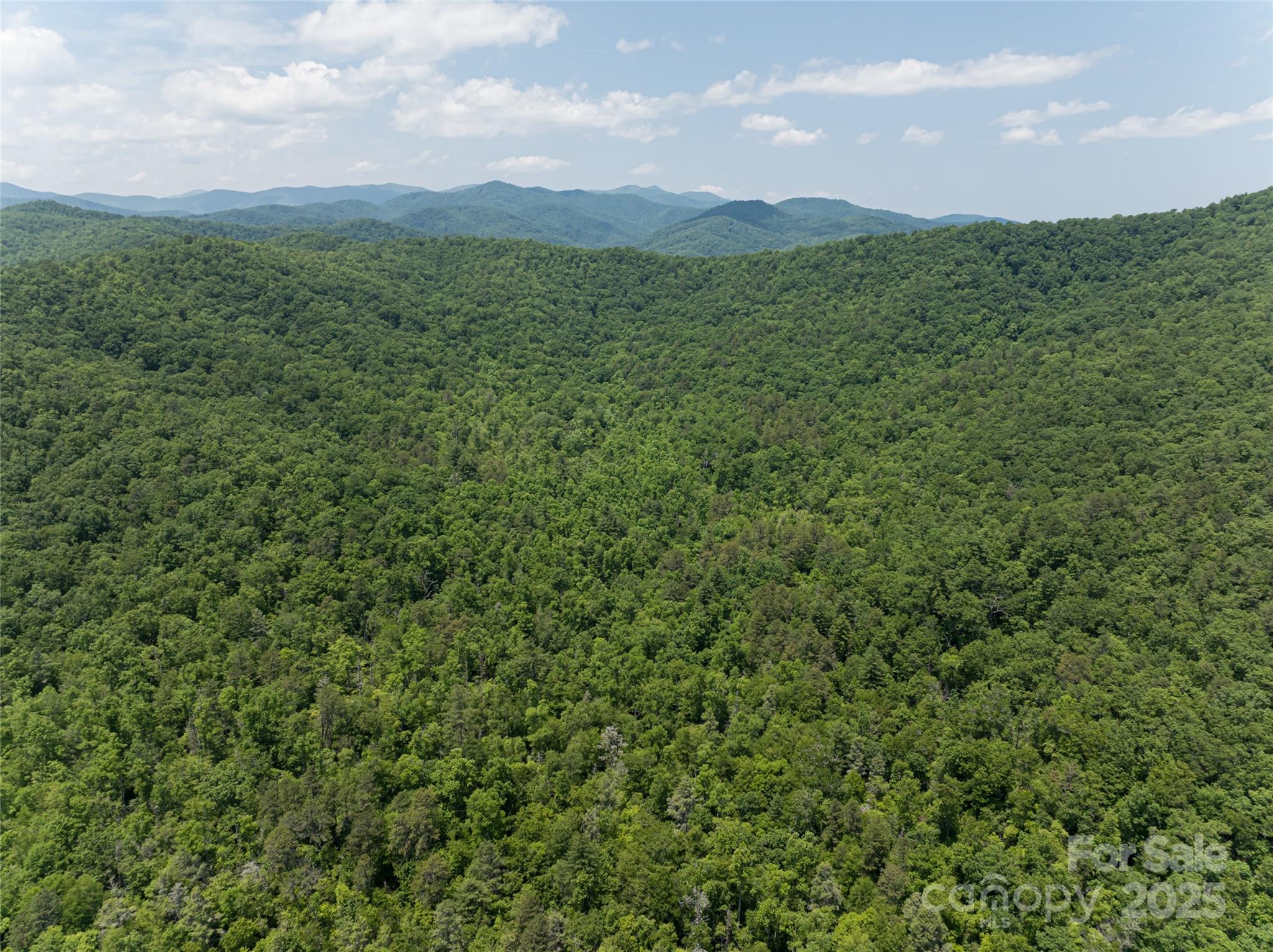 1000 Sutton Creek Road