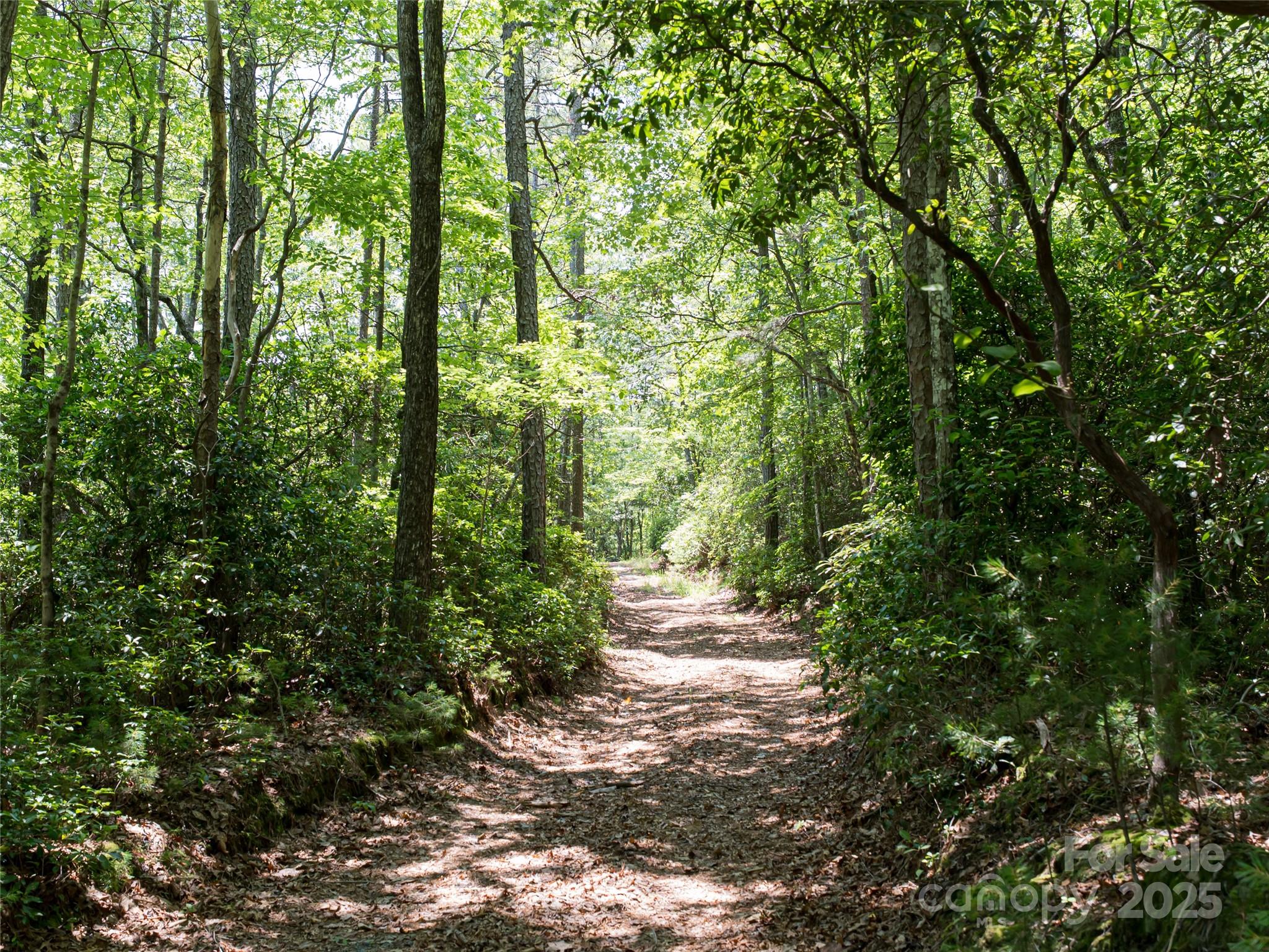 1000 Sutton Creek Road