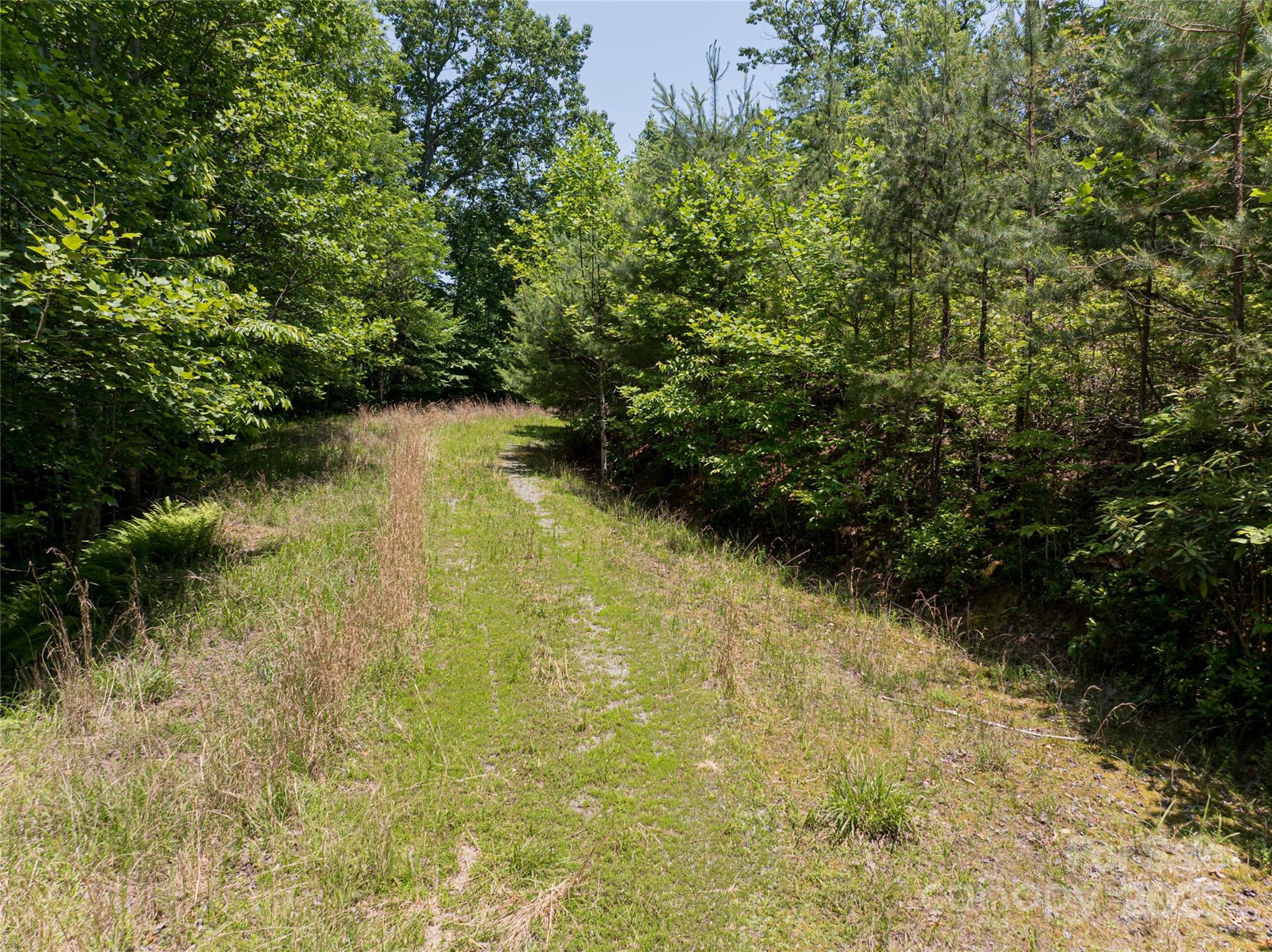 1000 Sutton Creek Road