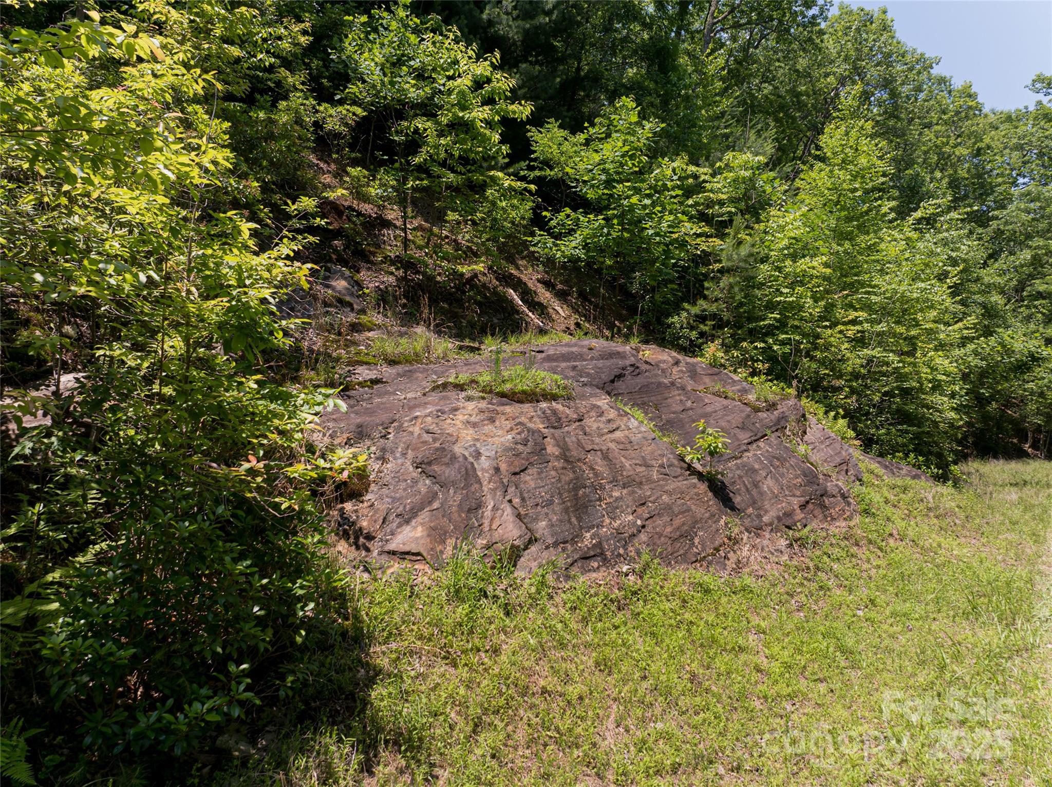 1000 Sutton Creek Road