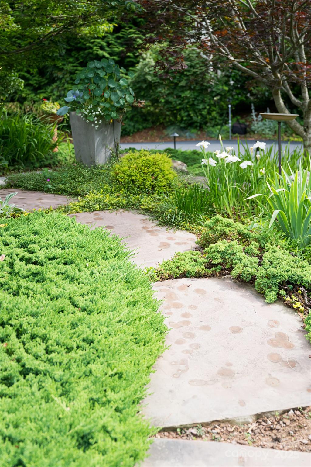 7 White Palmer Court