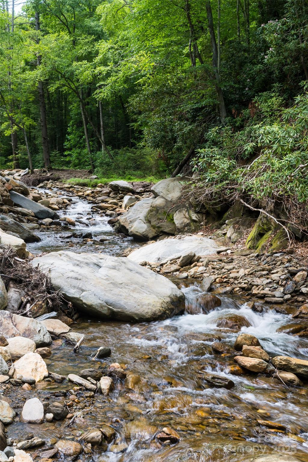 1037 Newberry Creek Road