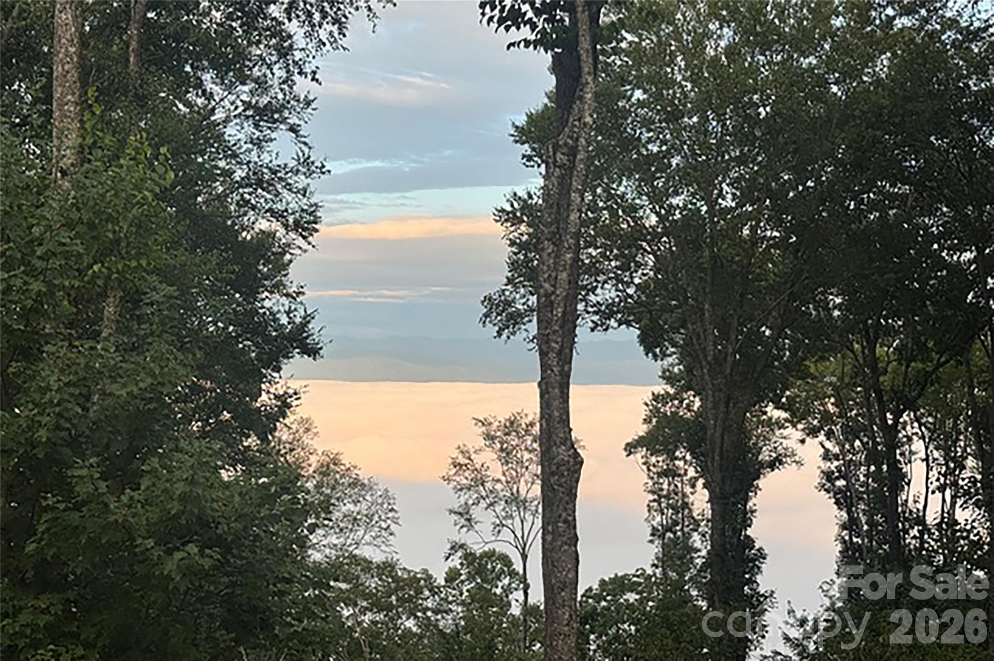 000 Laurel Ledge Way Unit: 23