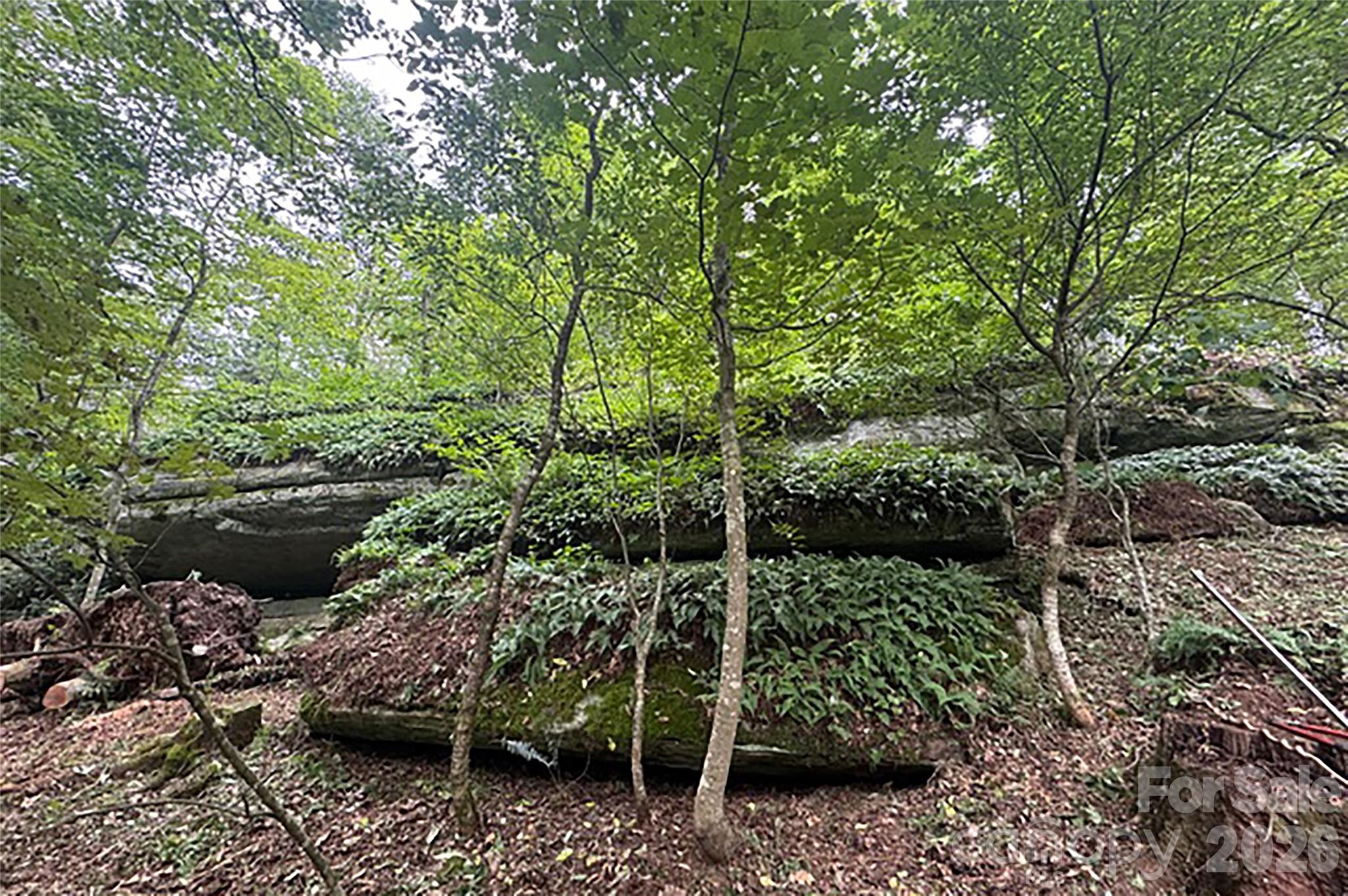 000 Laurel Ledge Way Unit: 23