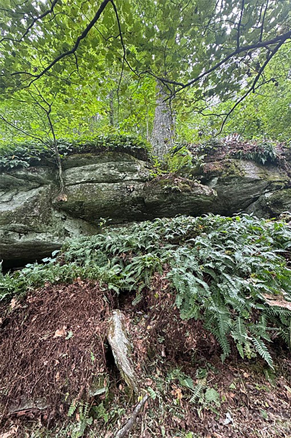 000 Laurel Ledge Way Unit: 23