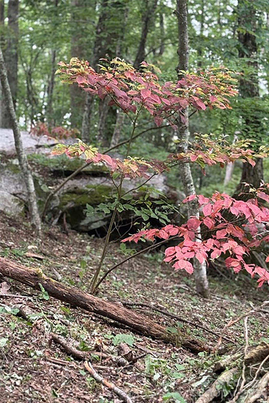 000 Laurel Ledge Way Unit: 23