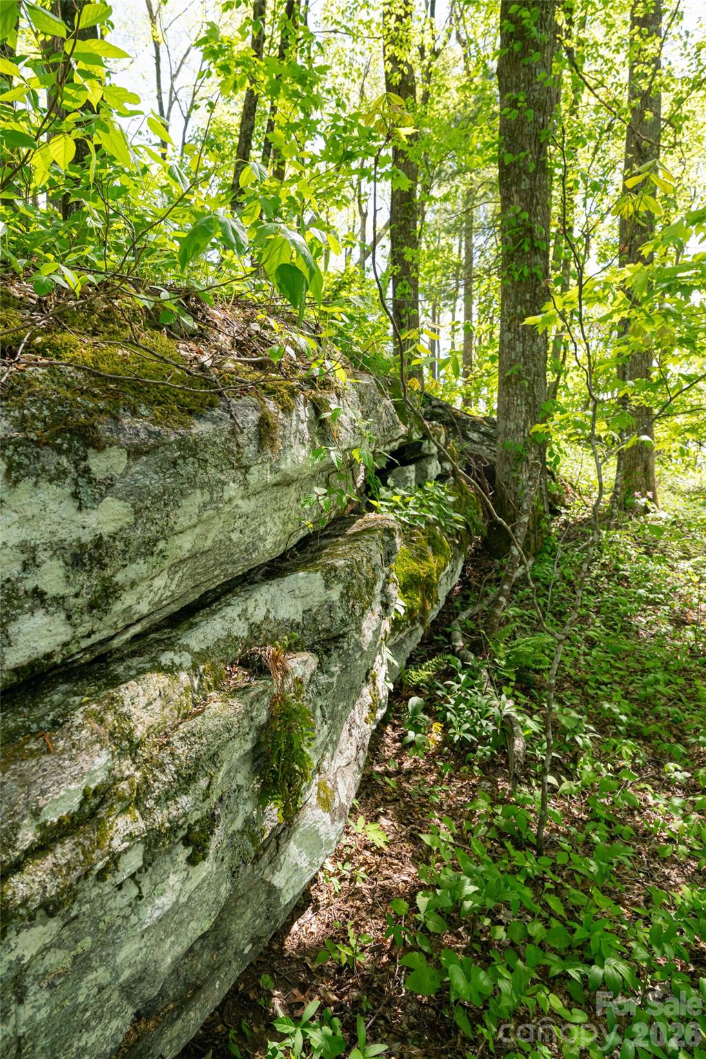 000 Laurel Ledge Way Unit: 23