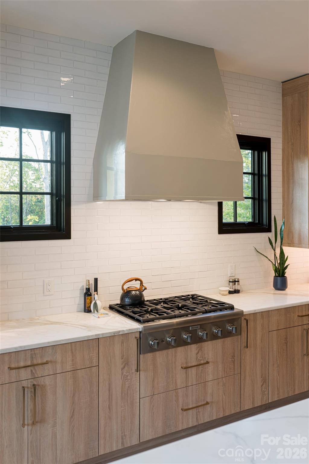 320 Flowering Vine Court