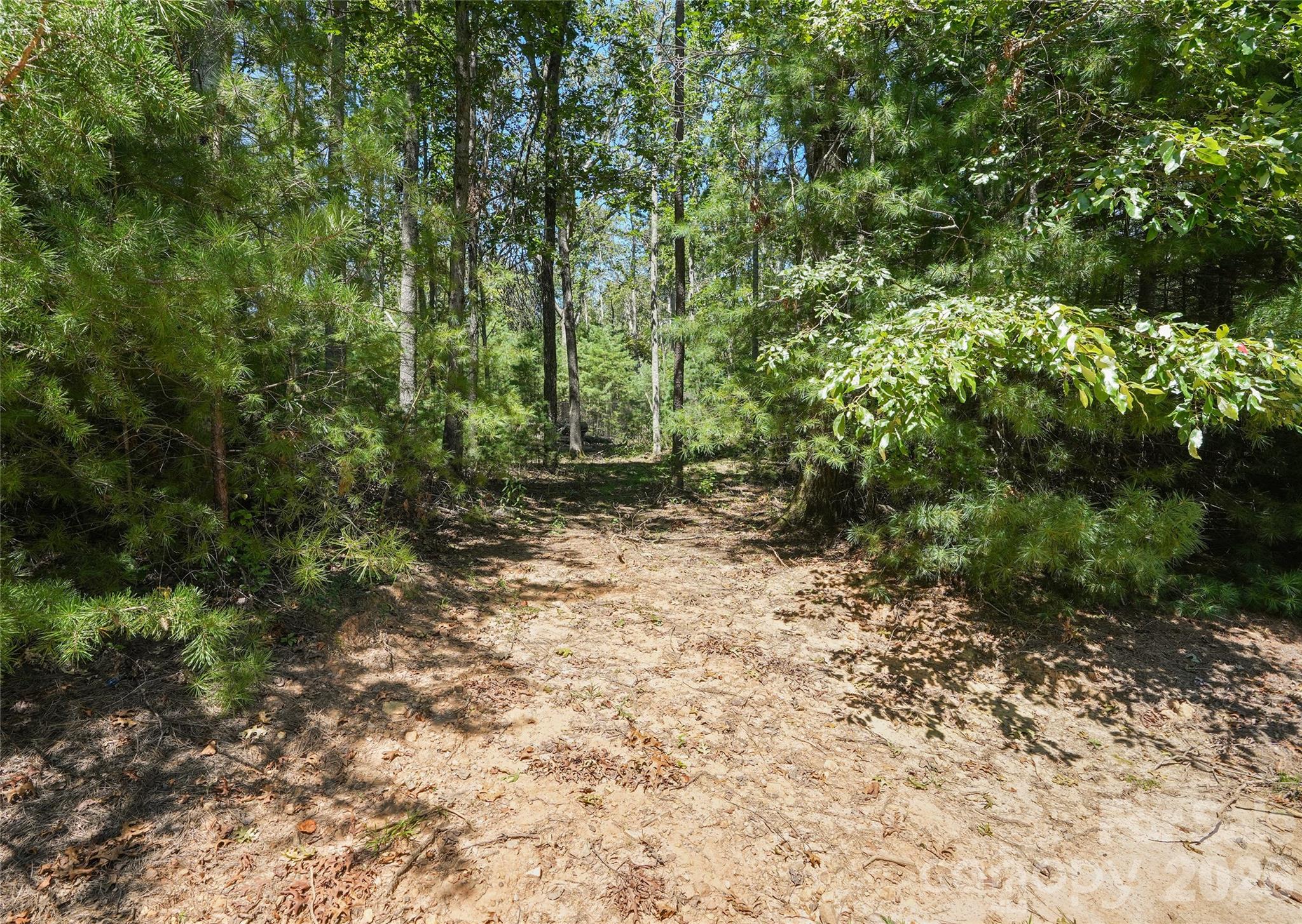 15 Mirehouse Run