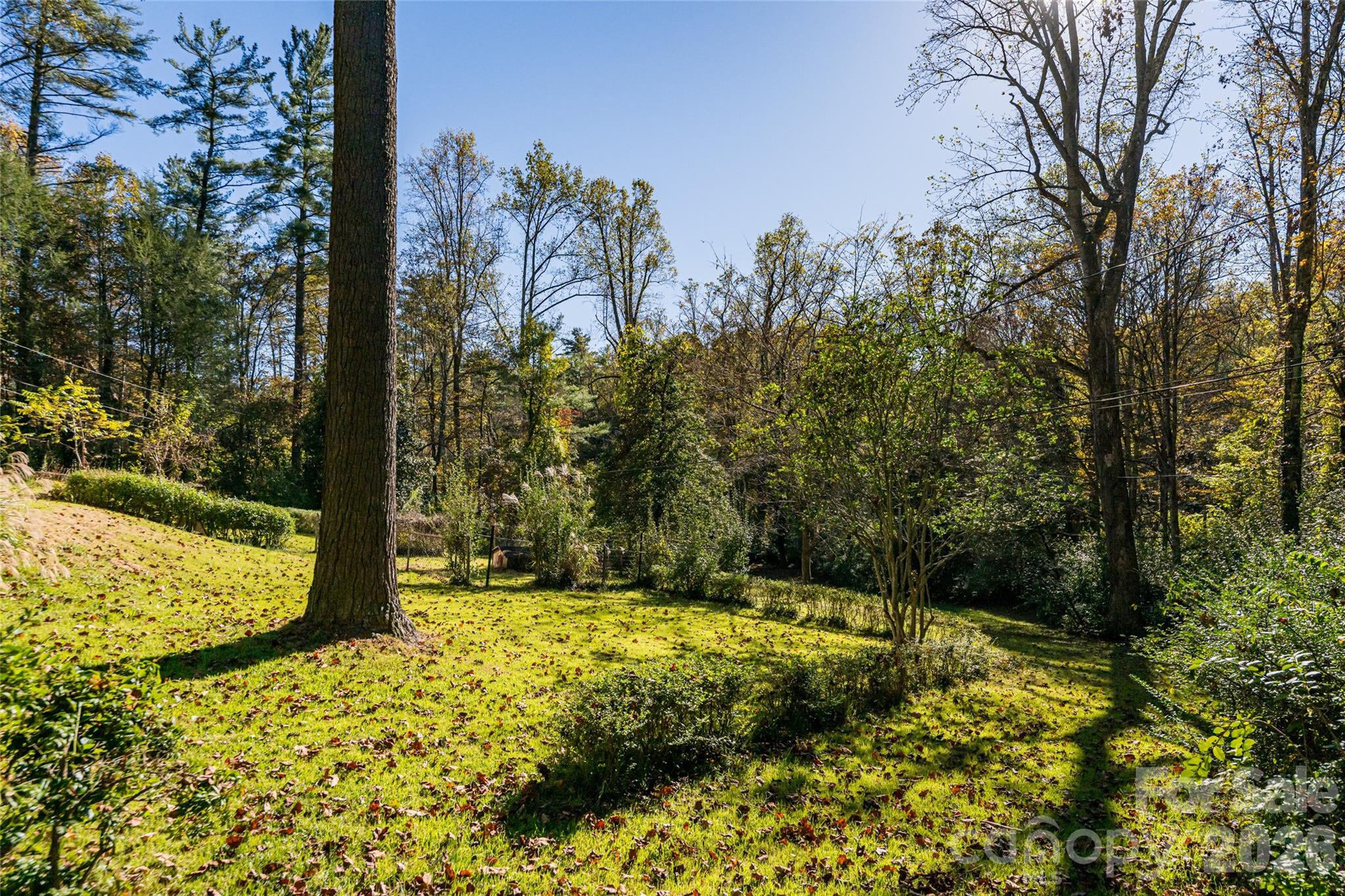 325 Vanderbilt Road