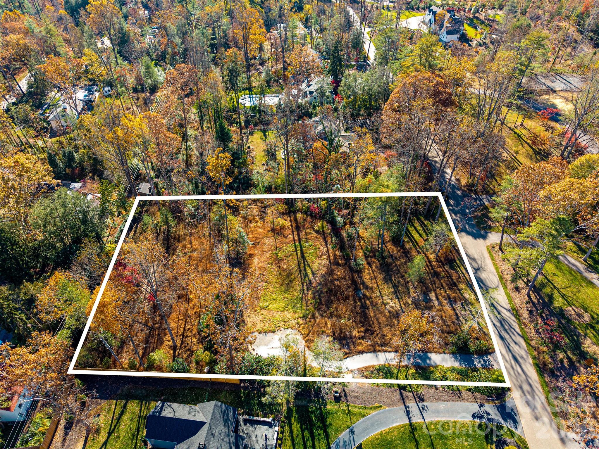 50 Forest Road