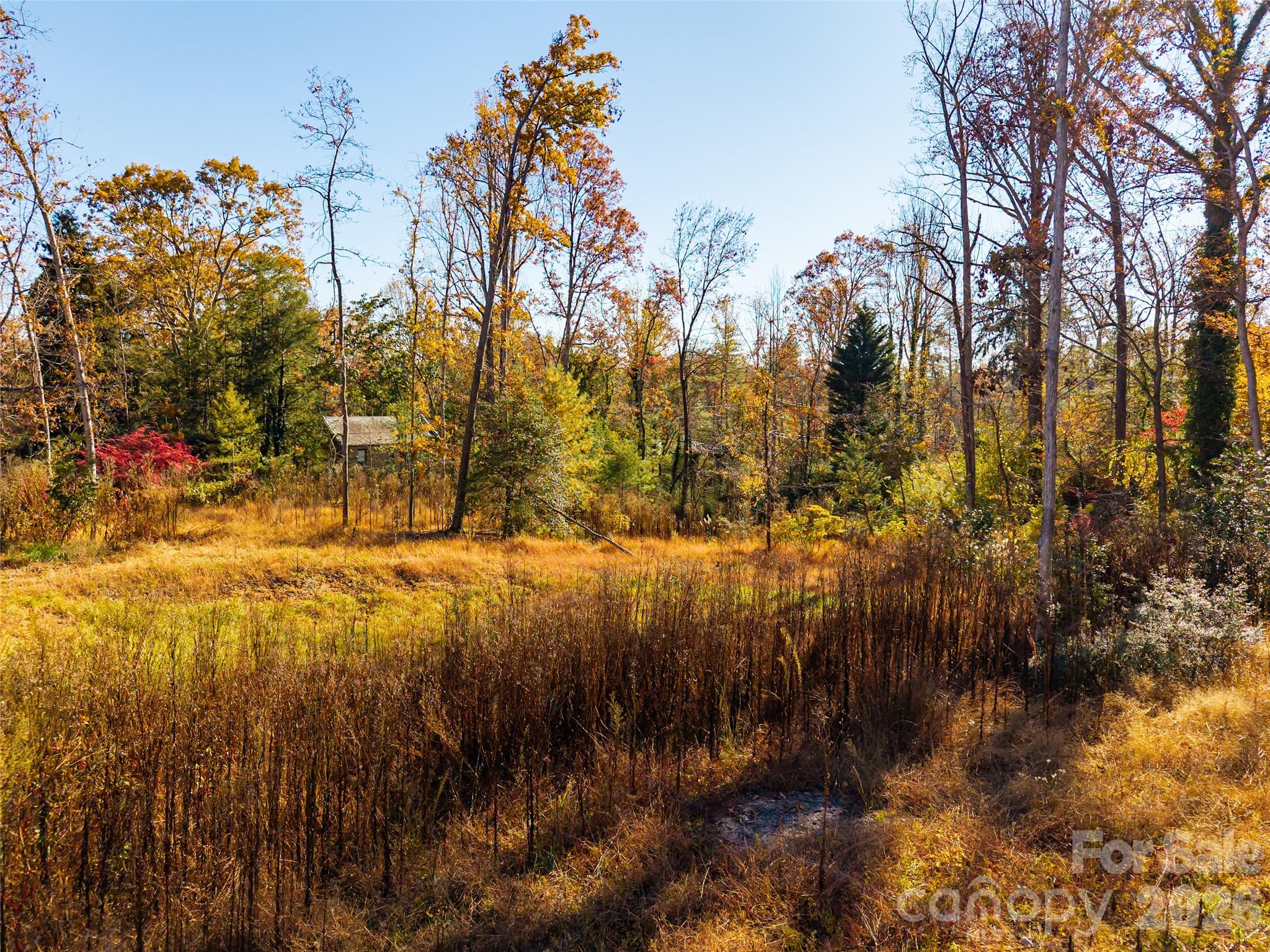 50 Forest Road