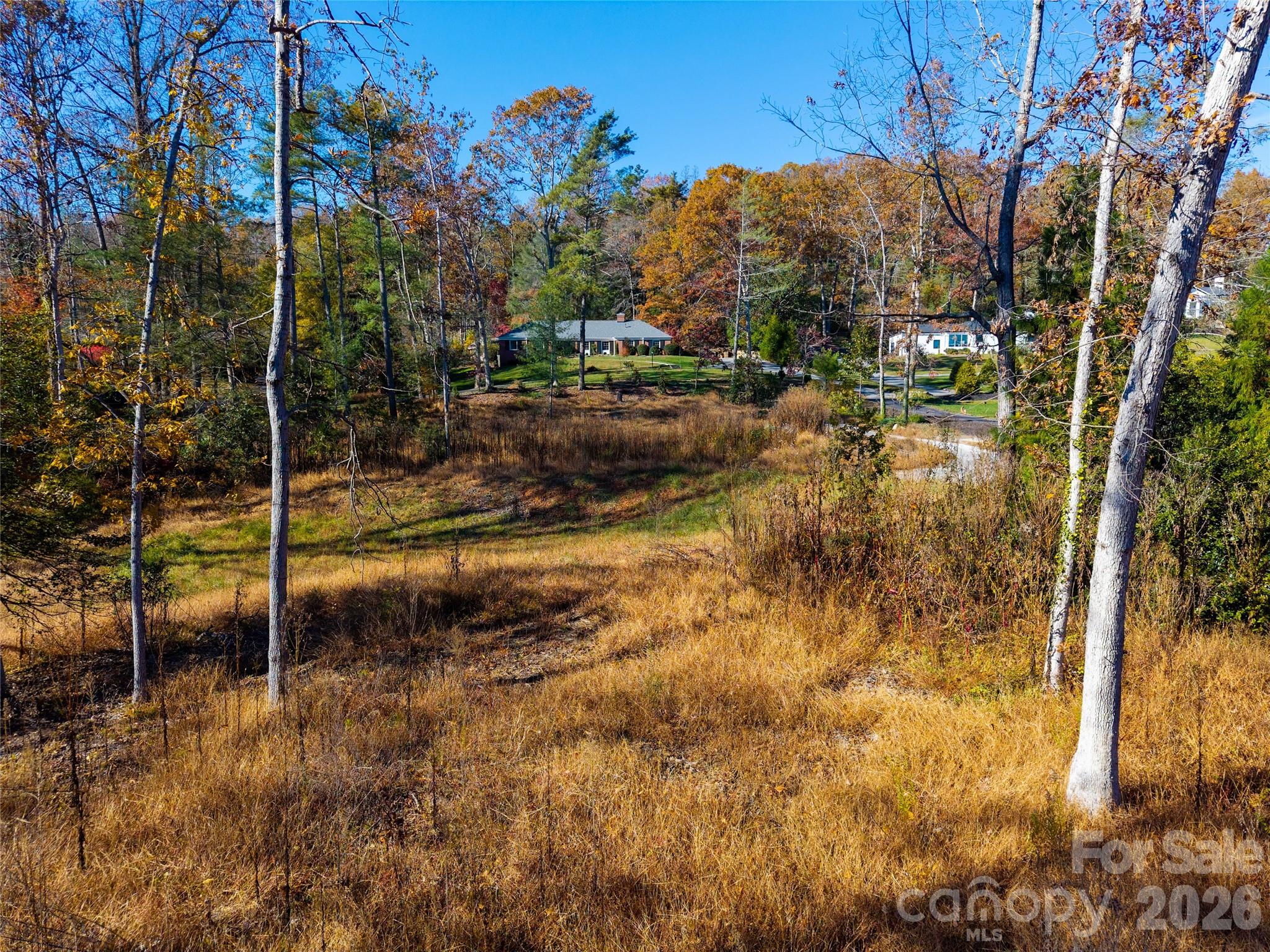 50 Forest Road