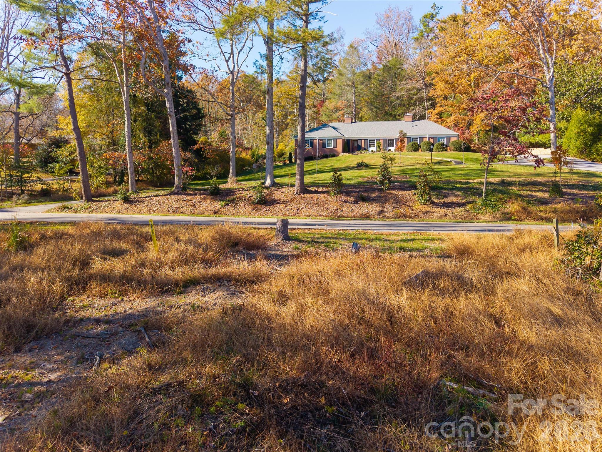 50 Forest Road