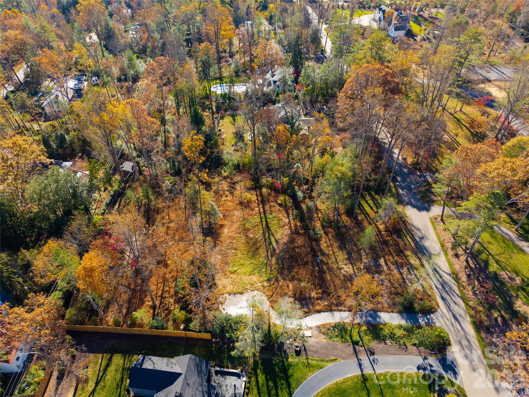 50 Forest Road