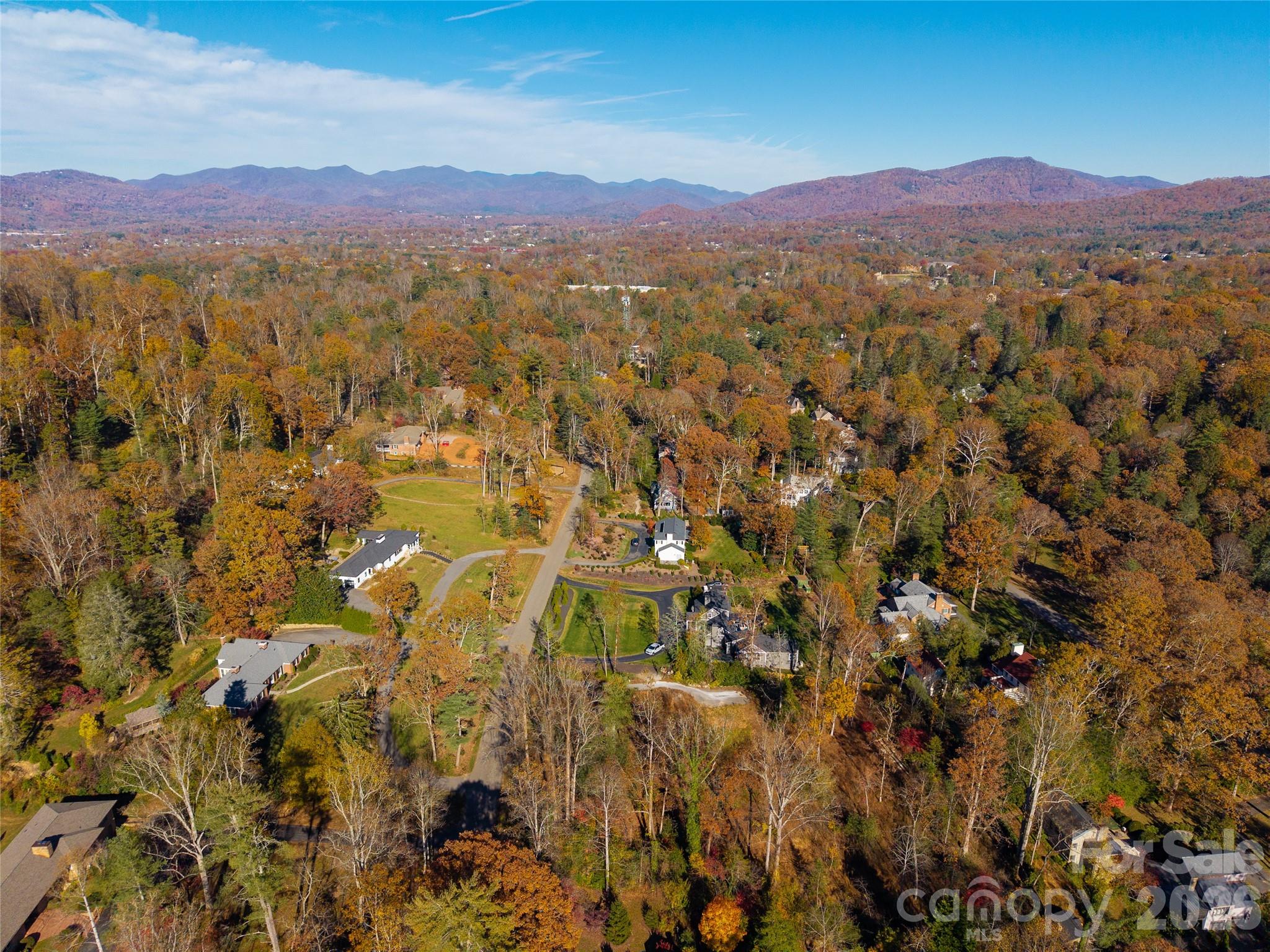 50 Forest Road