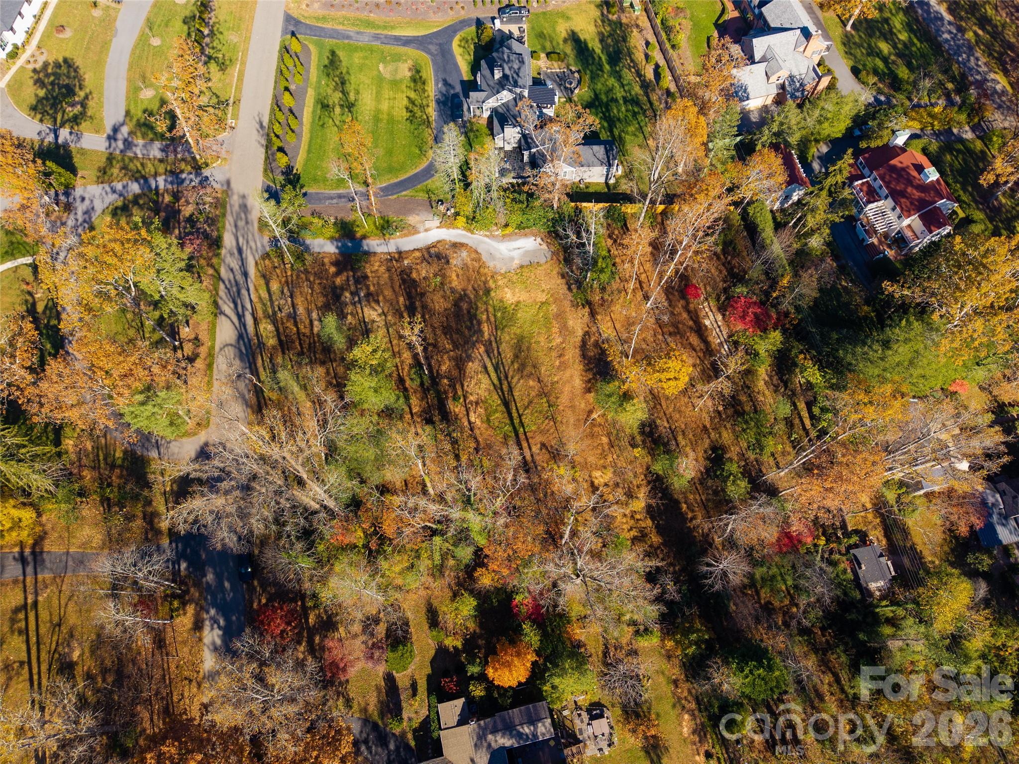50 Forest Road
