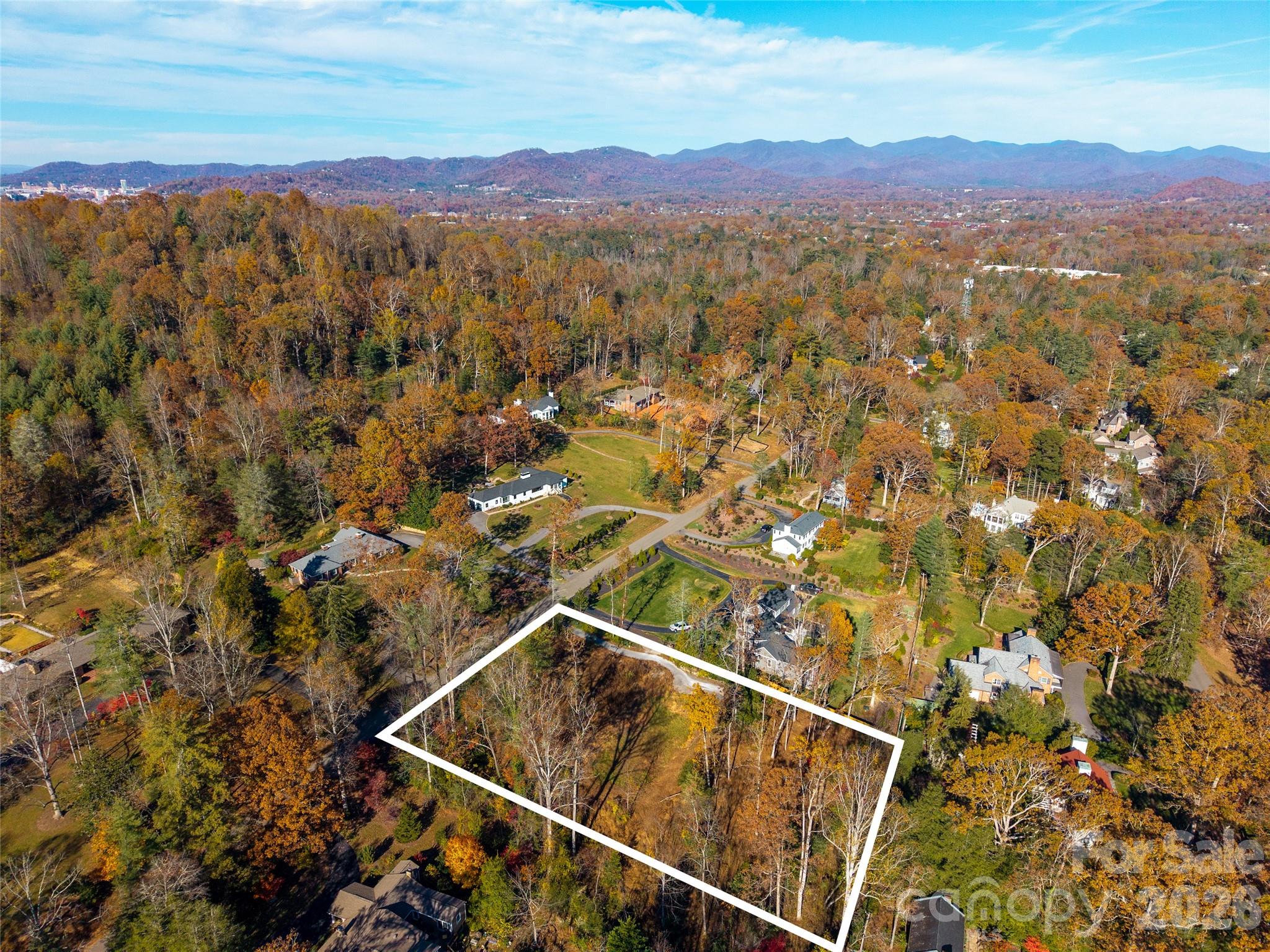 50 Forest Road