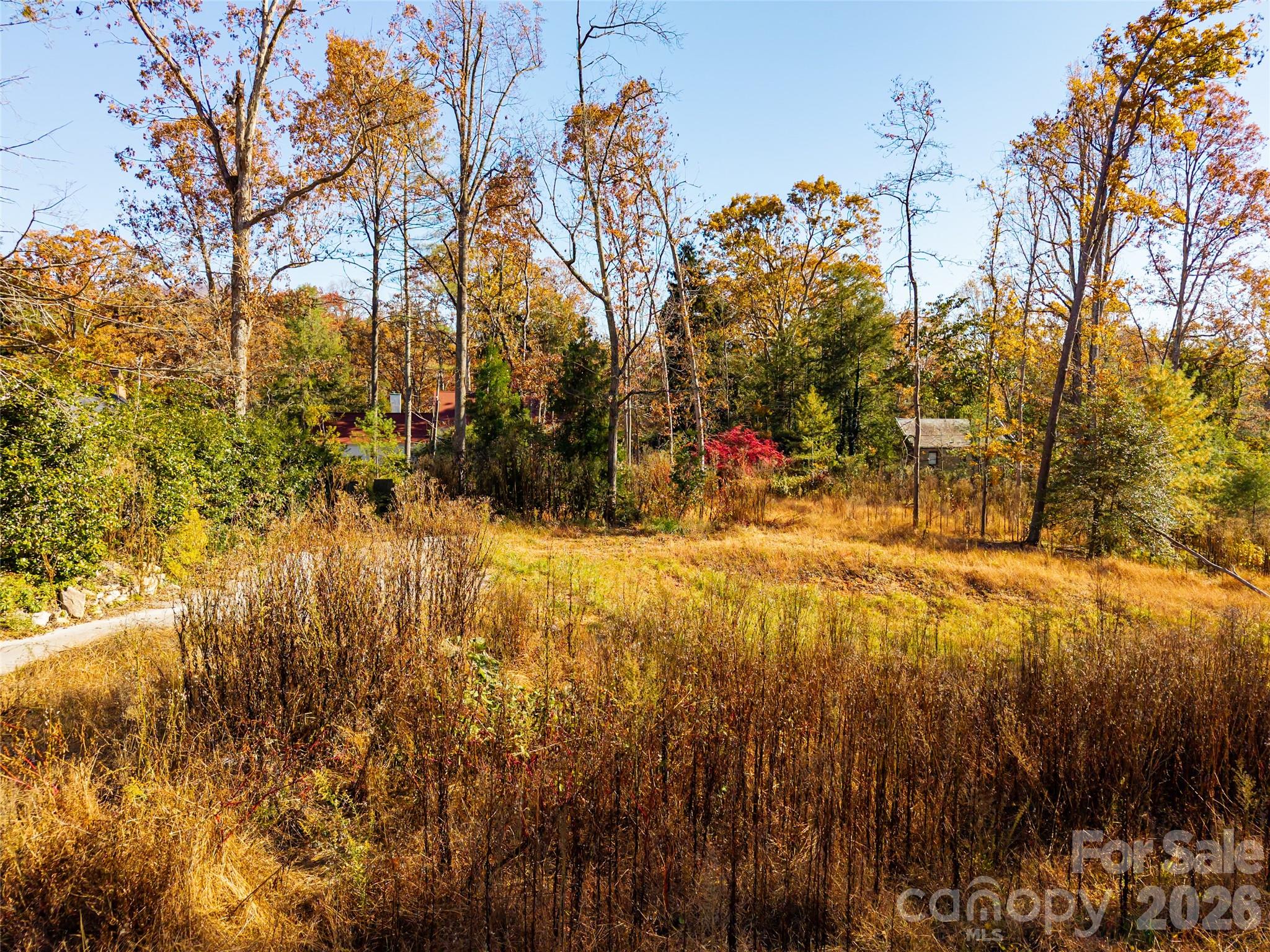 50 Forest Road