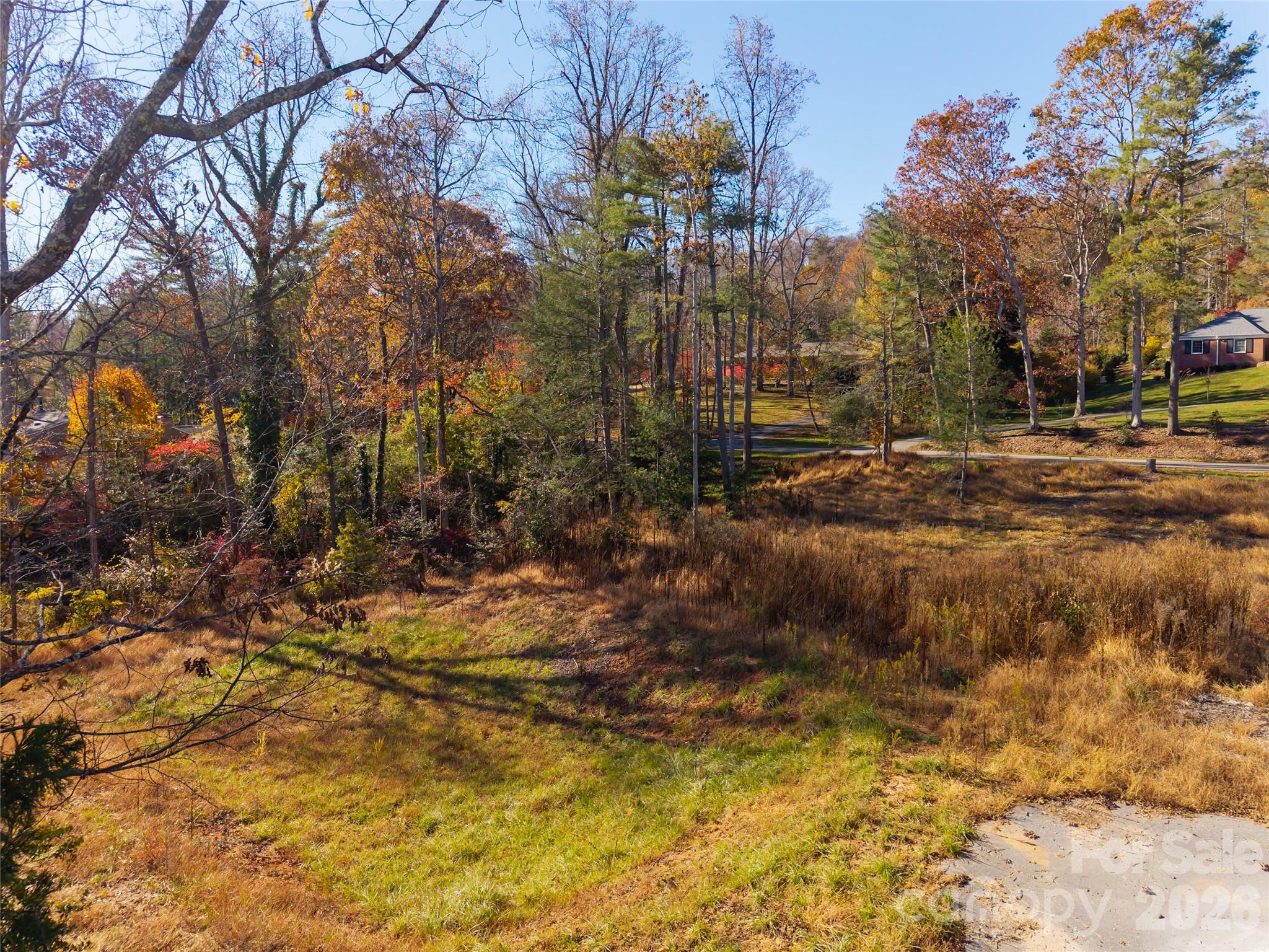 50 Forest Road