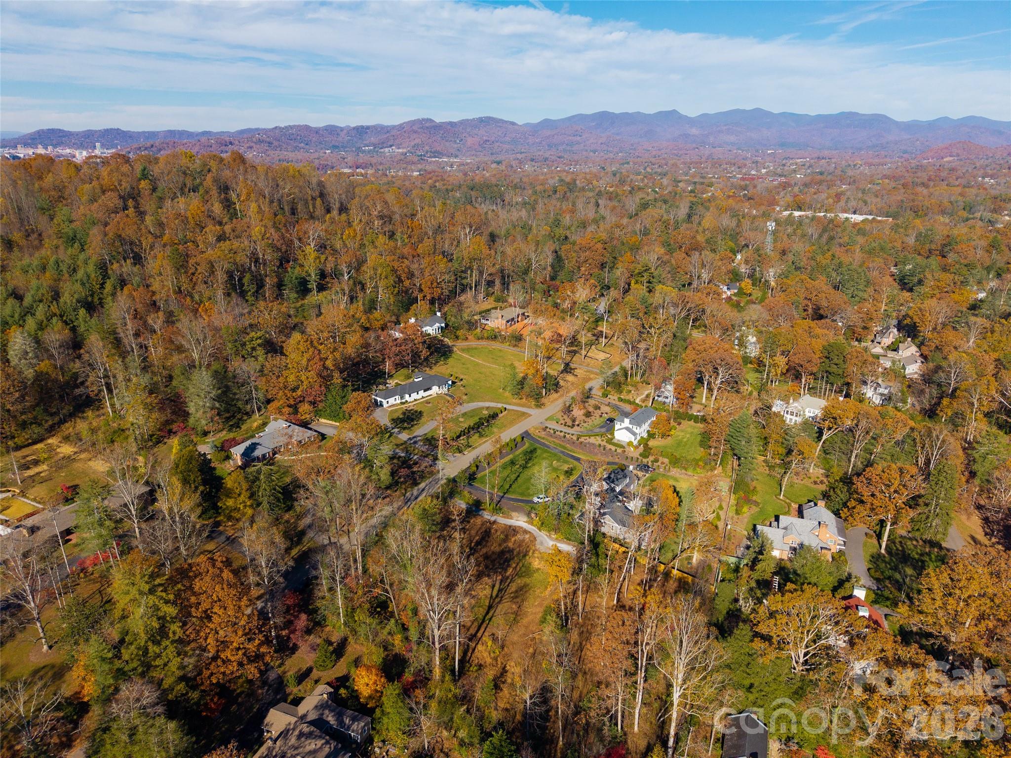 50 Forest Road