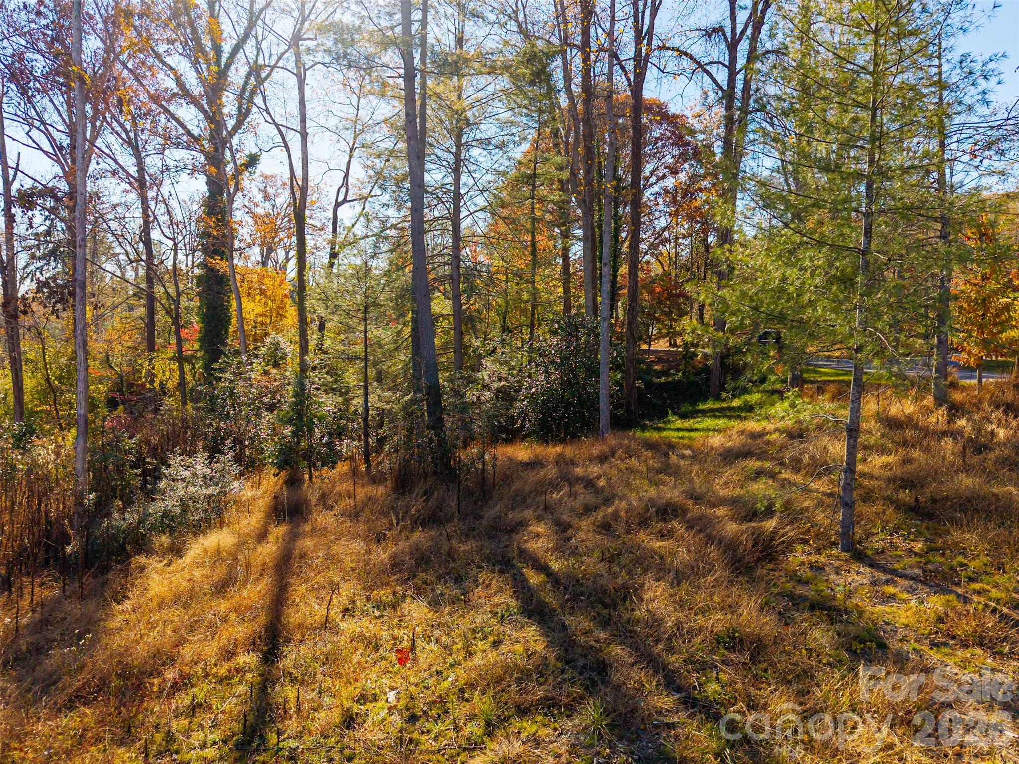 50 Forest Road