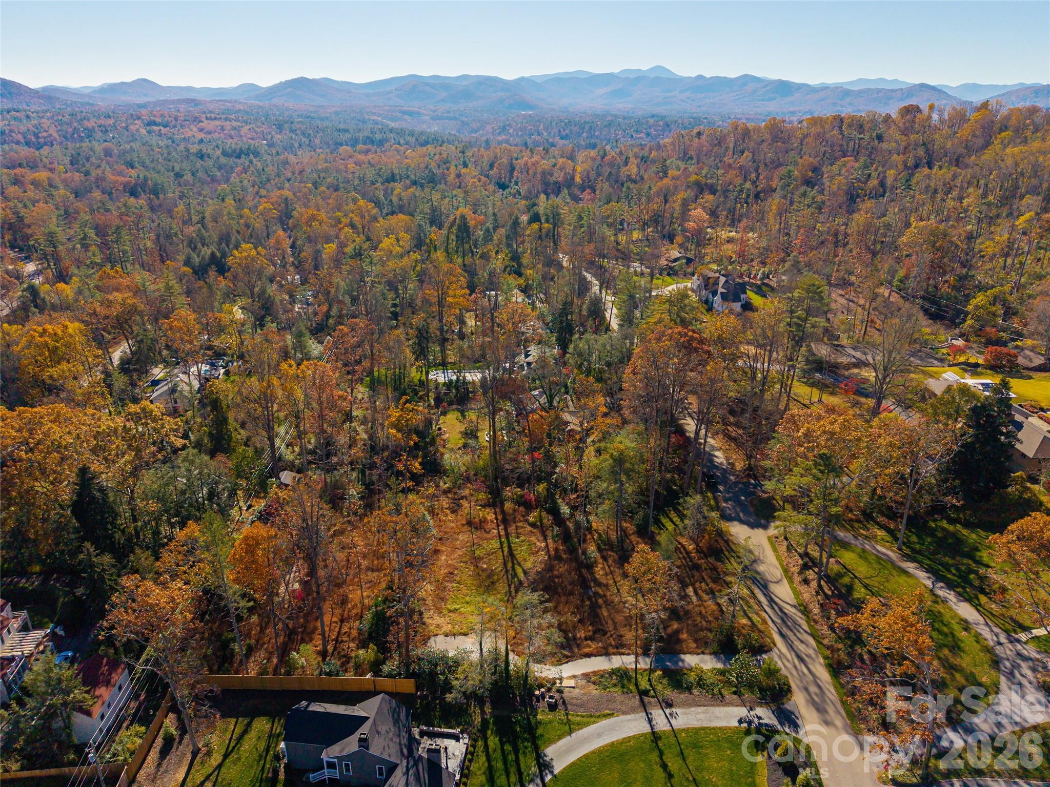 50 Forest Road