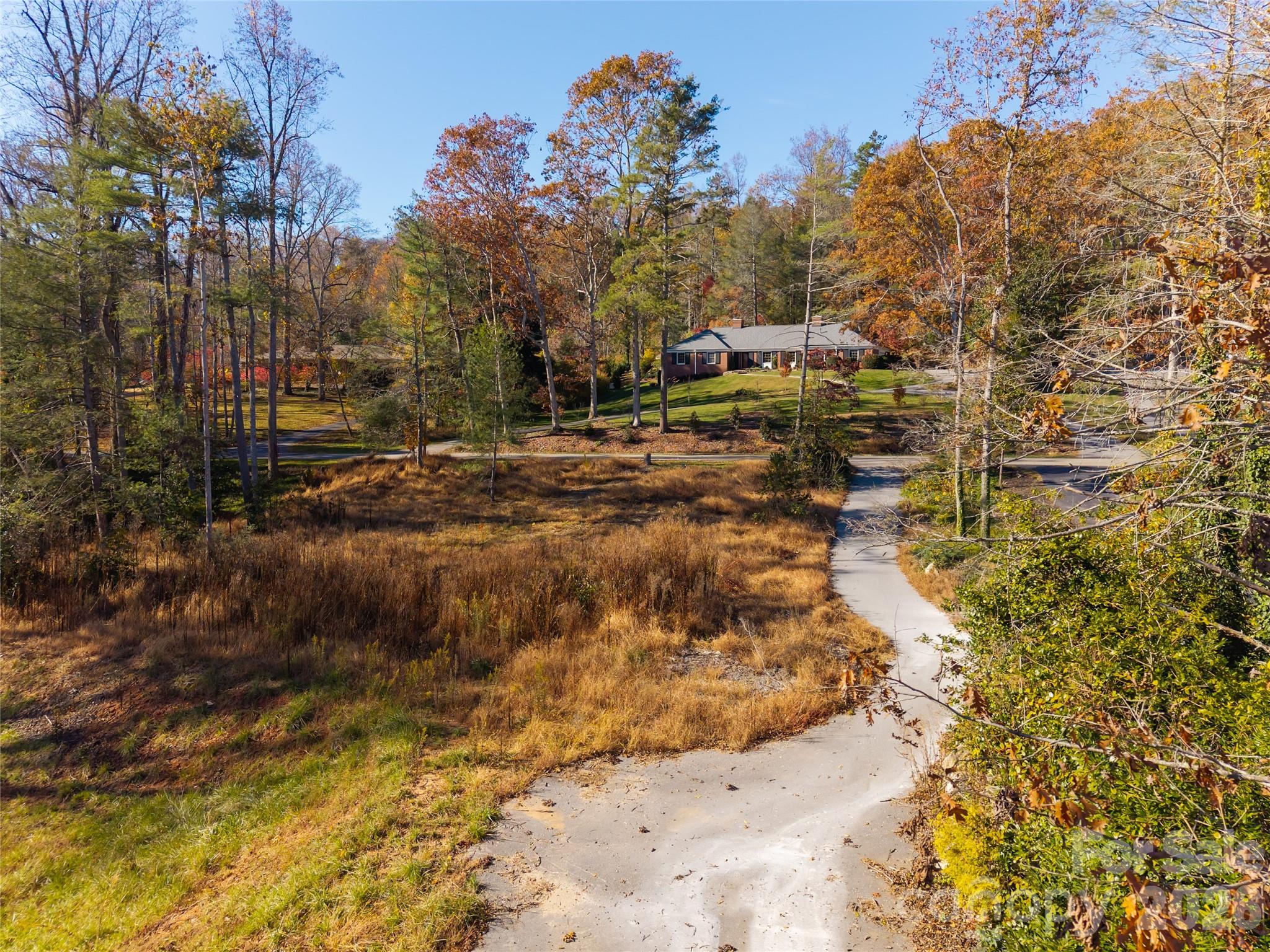 50 Forest Road