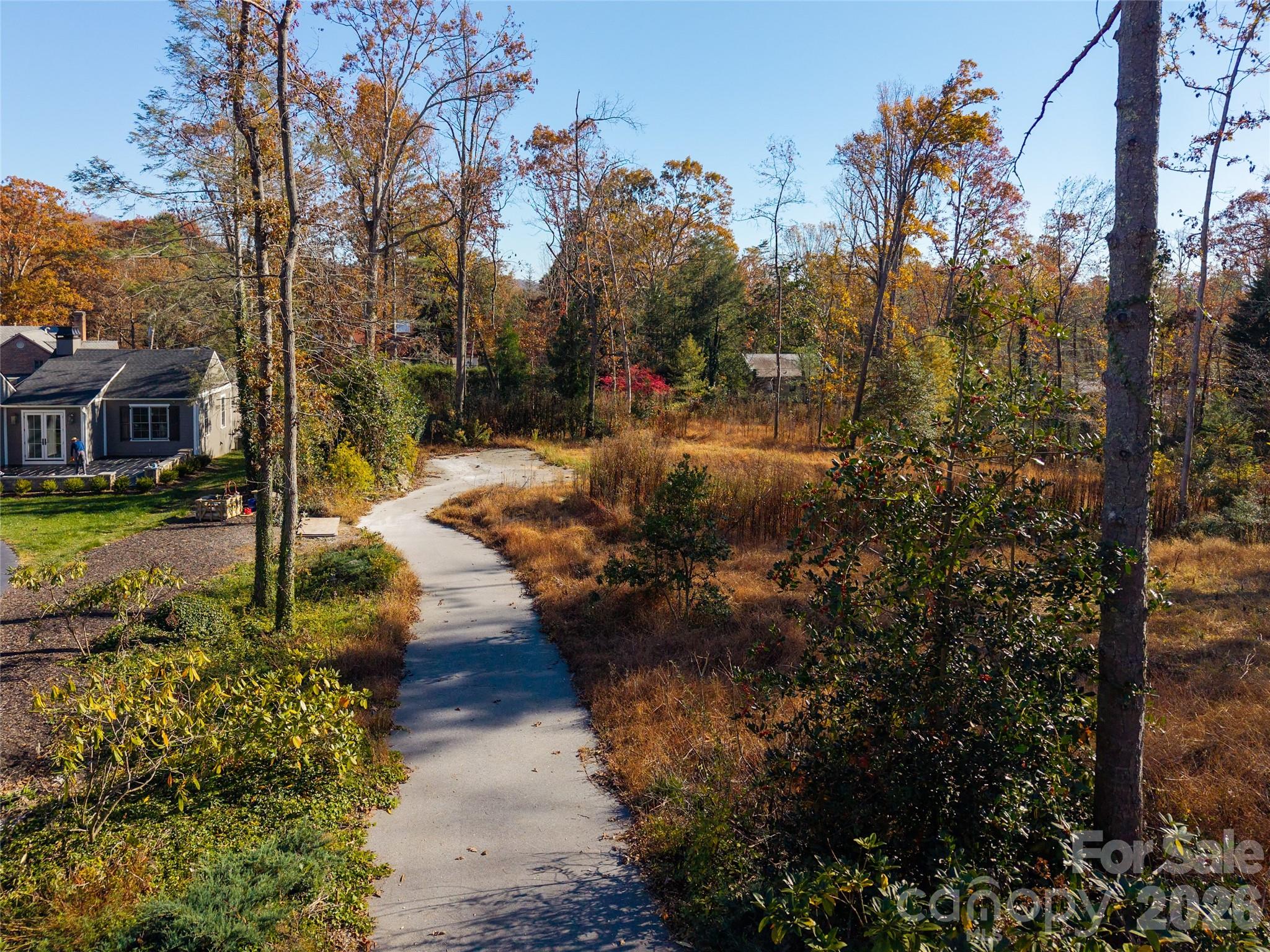 50 Forest Road