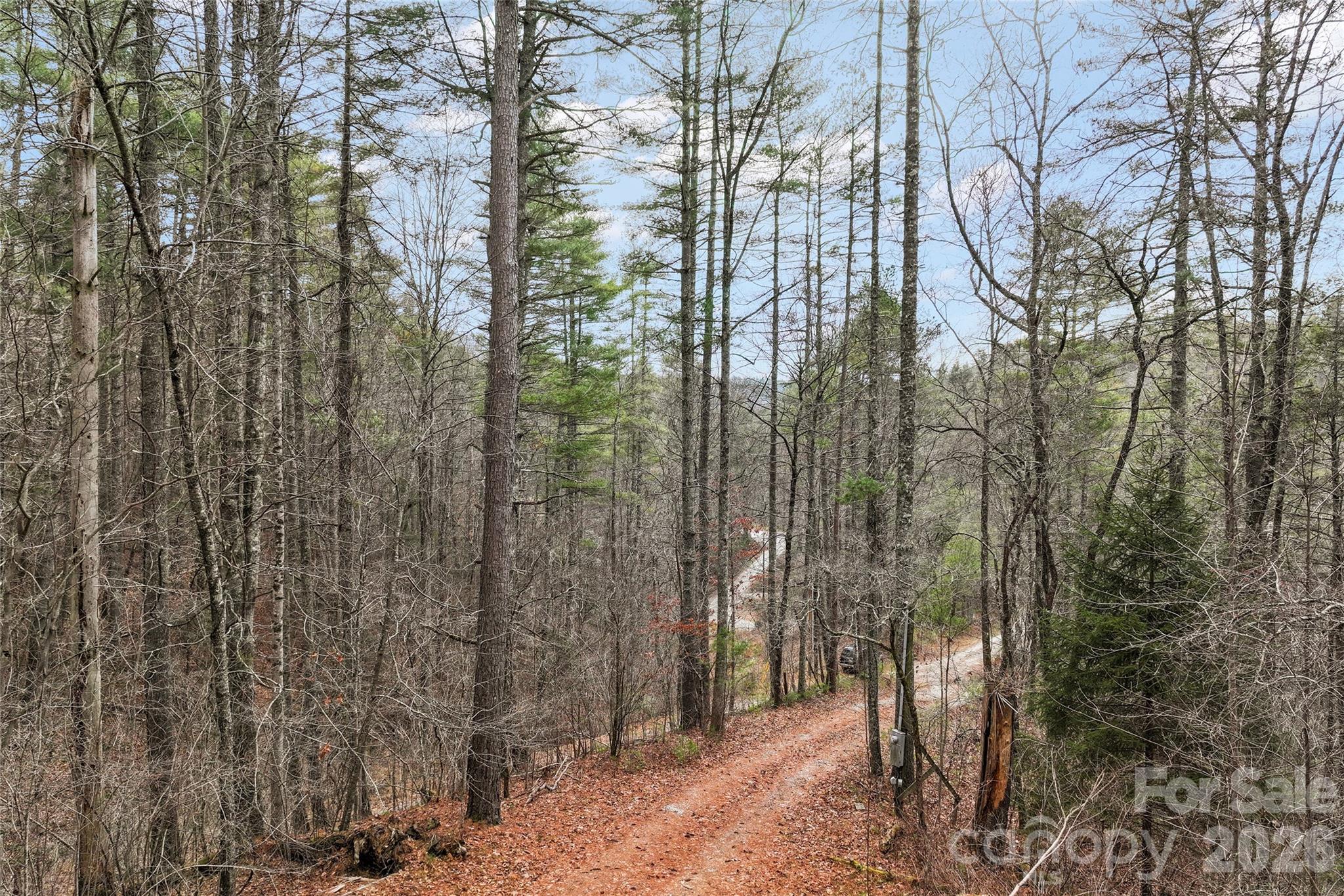 109 Tumblebug Trail Road