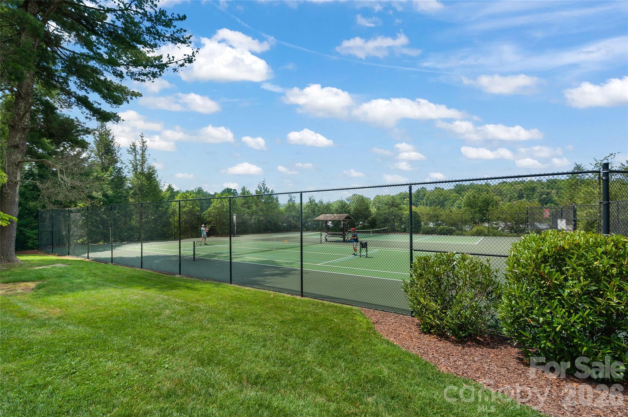 17 Moser Sedge Court