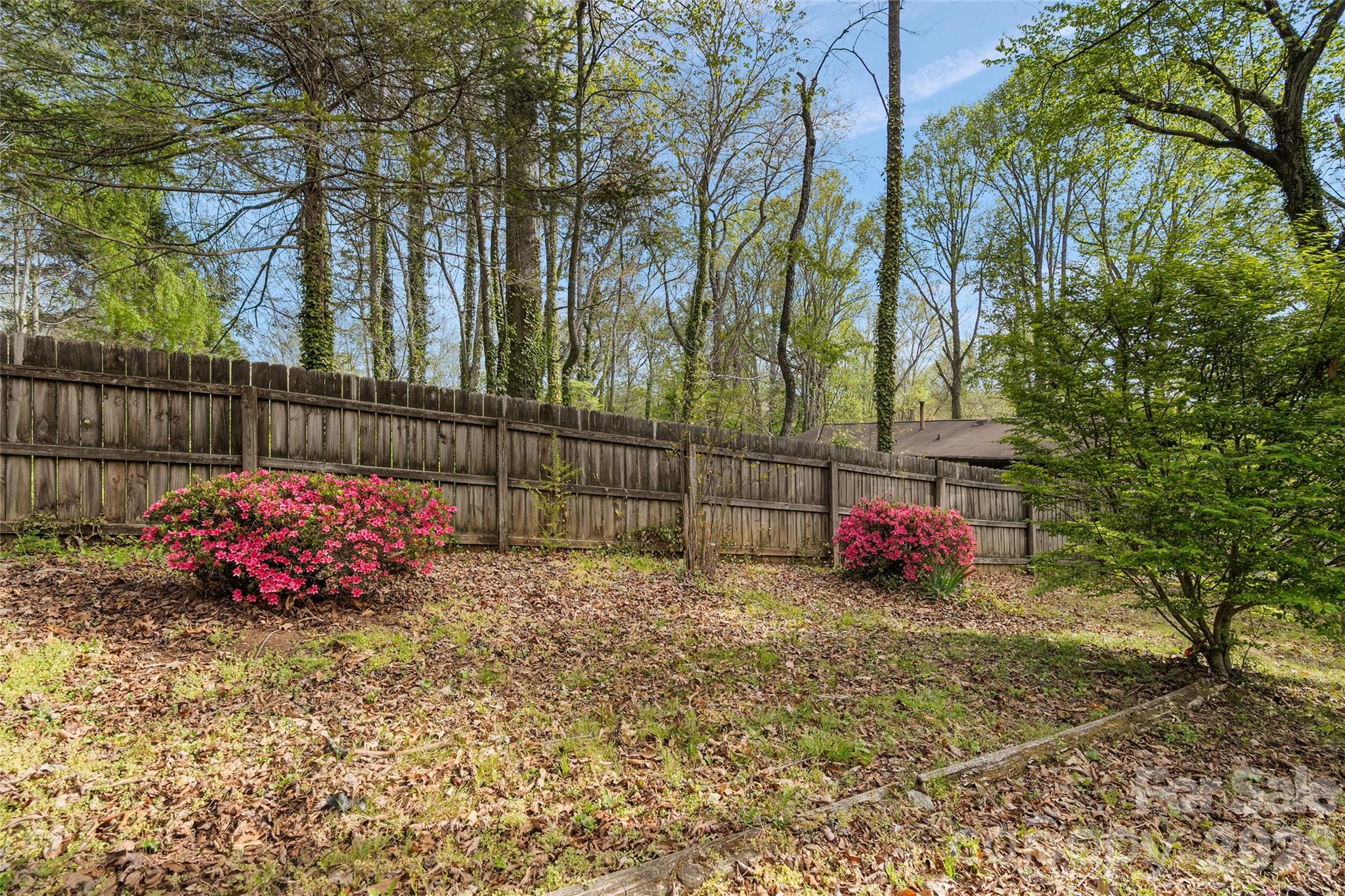 3017 Chestnut Tree Road