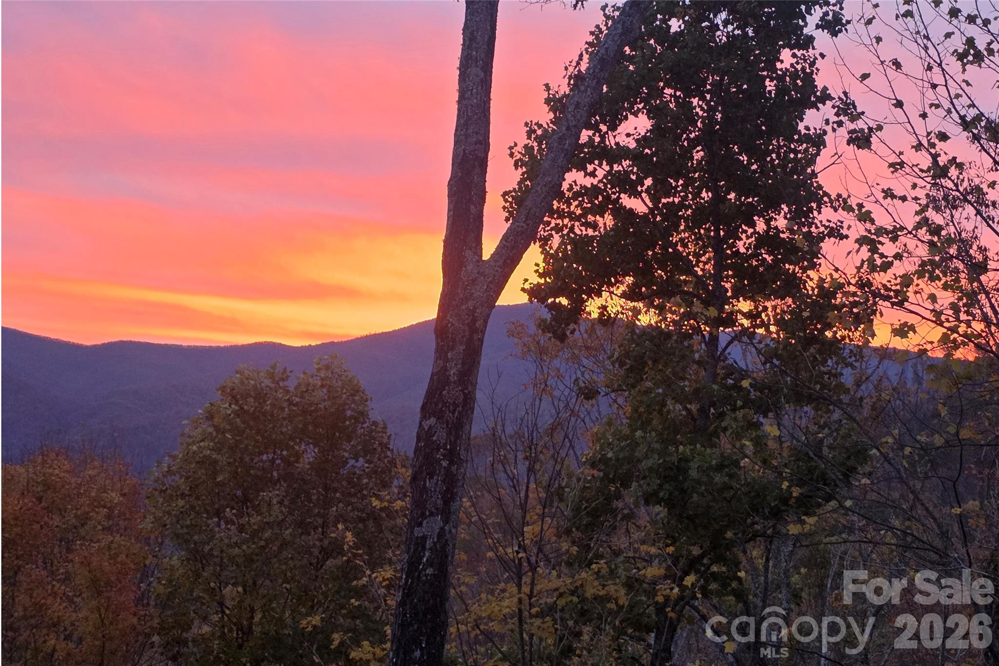 121 Stoney Falls Loop