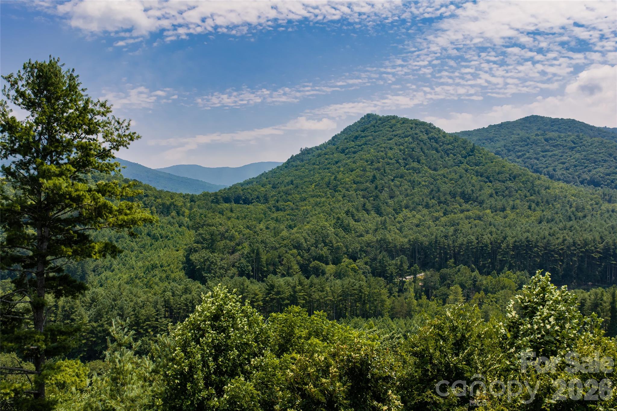 31 Mcclure Creek Road