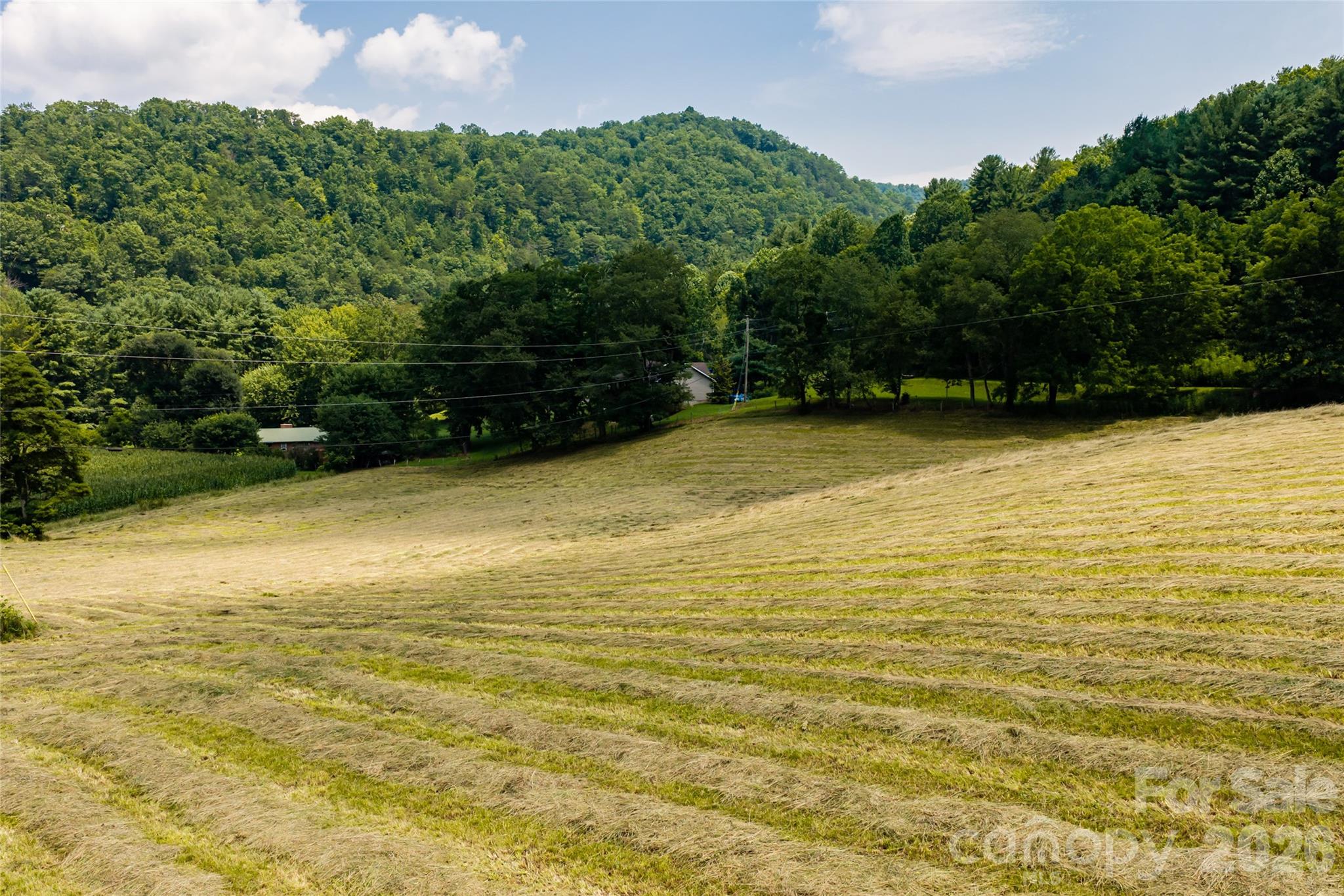 31 Mcclure Creek Road