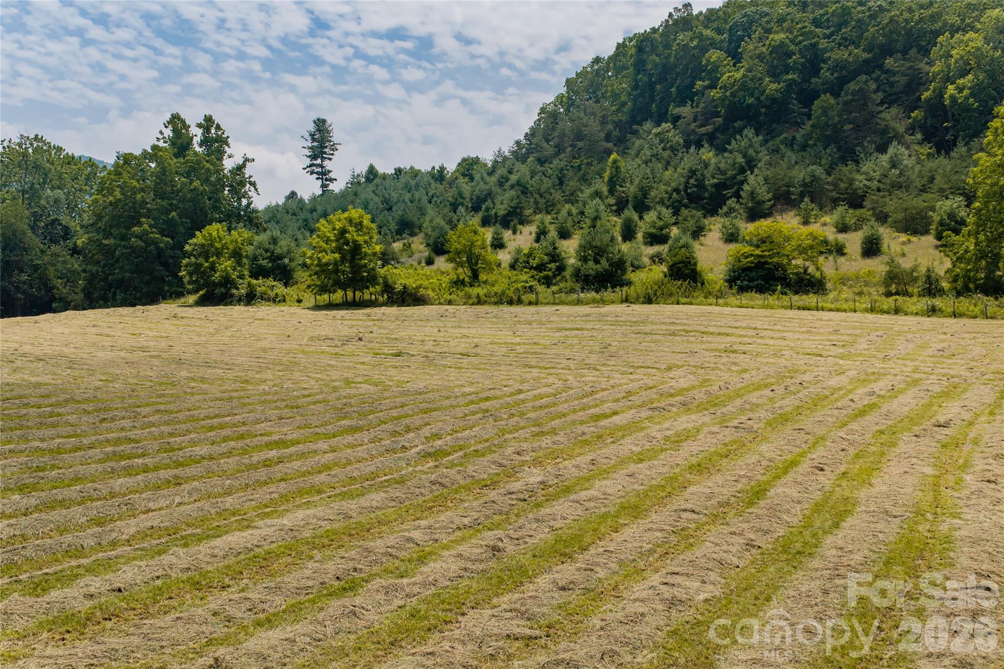 31 Mcclure Creek Road