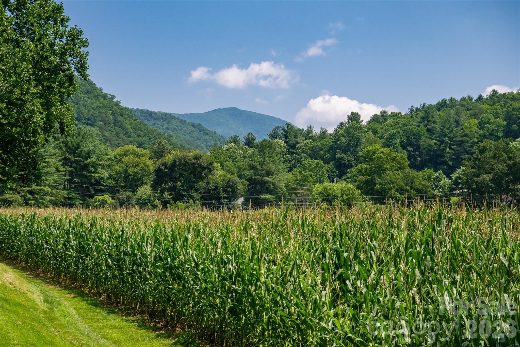 31 Mcclure Creek Road