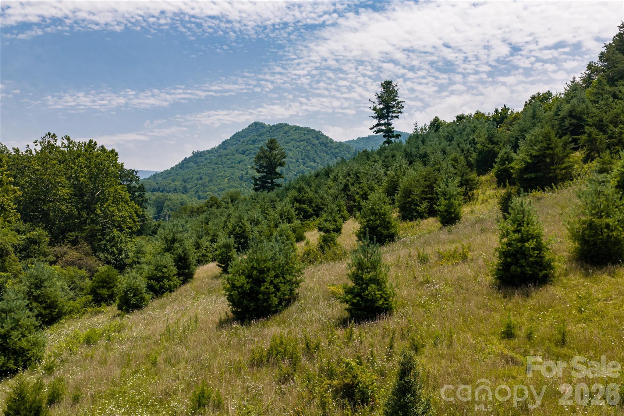 31 Mcclure Creek Road