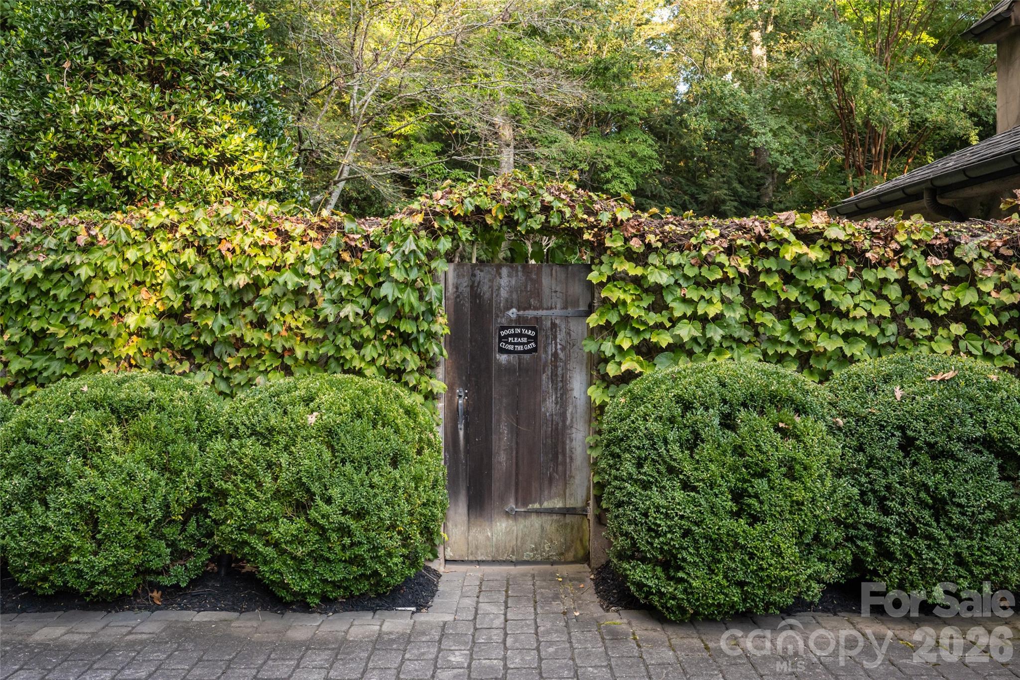 6 Frith Drive