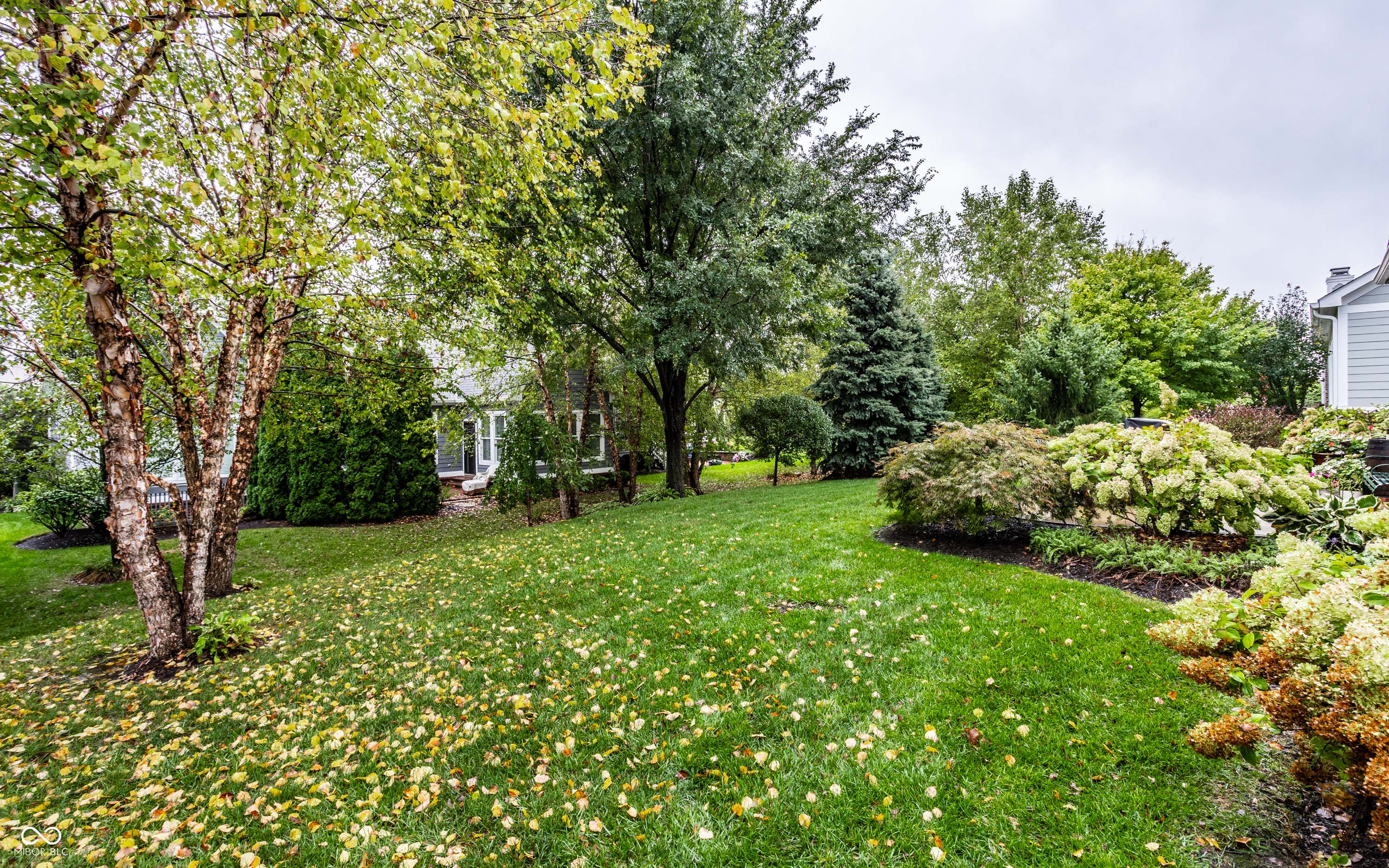 3323 Adare Circle