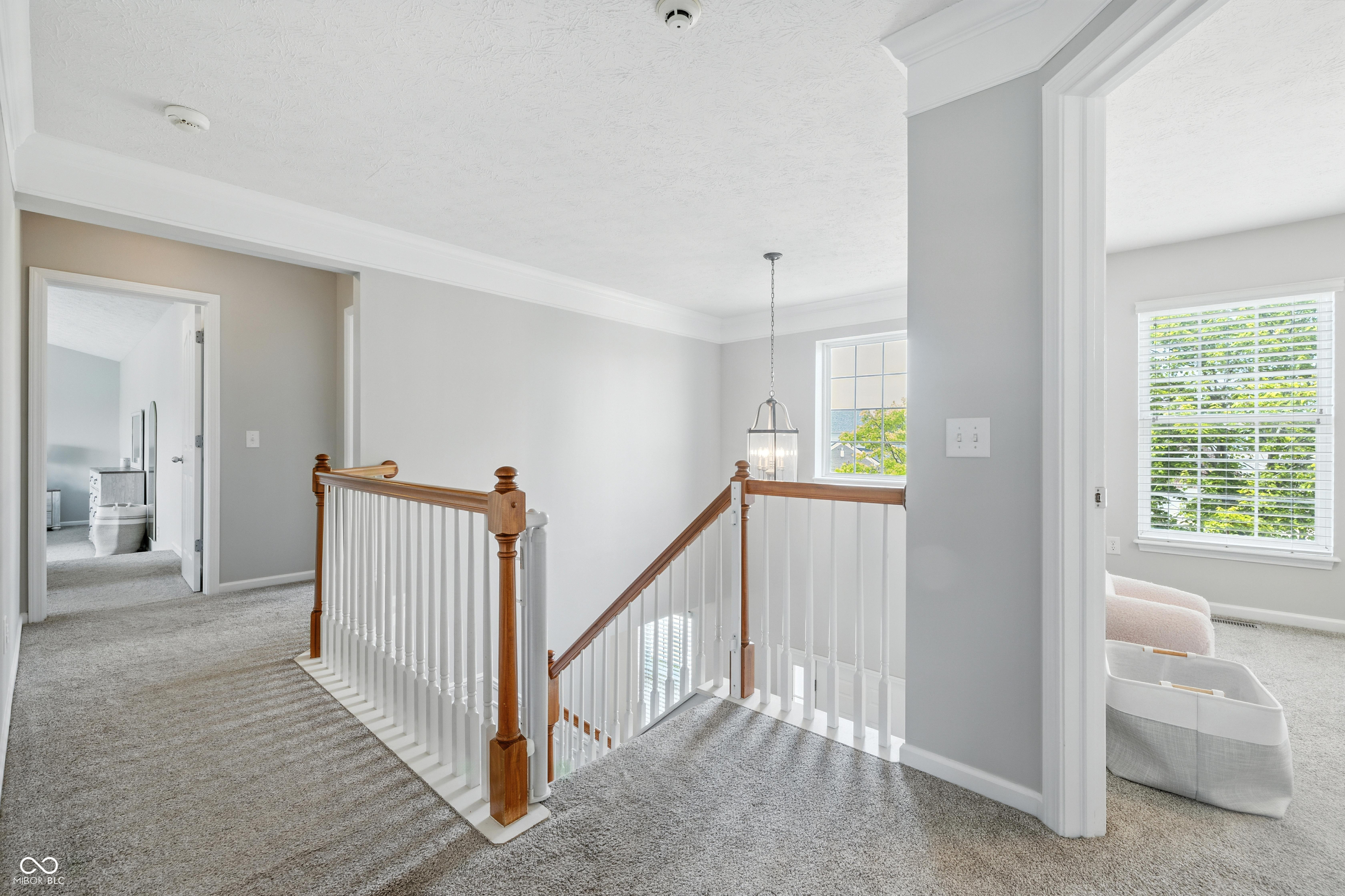 14153 Equine Court