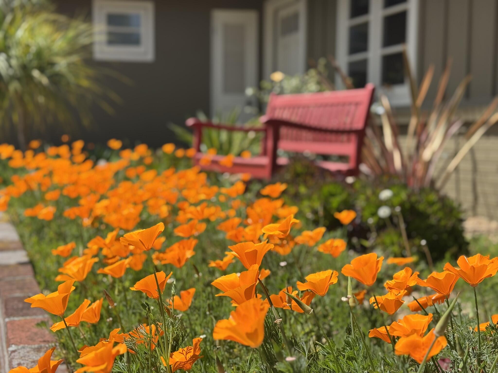 615 Concha Loma Drive