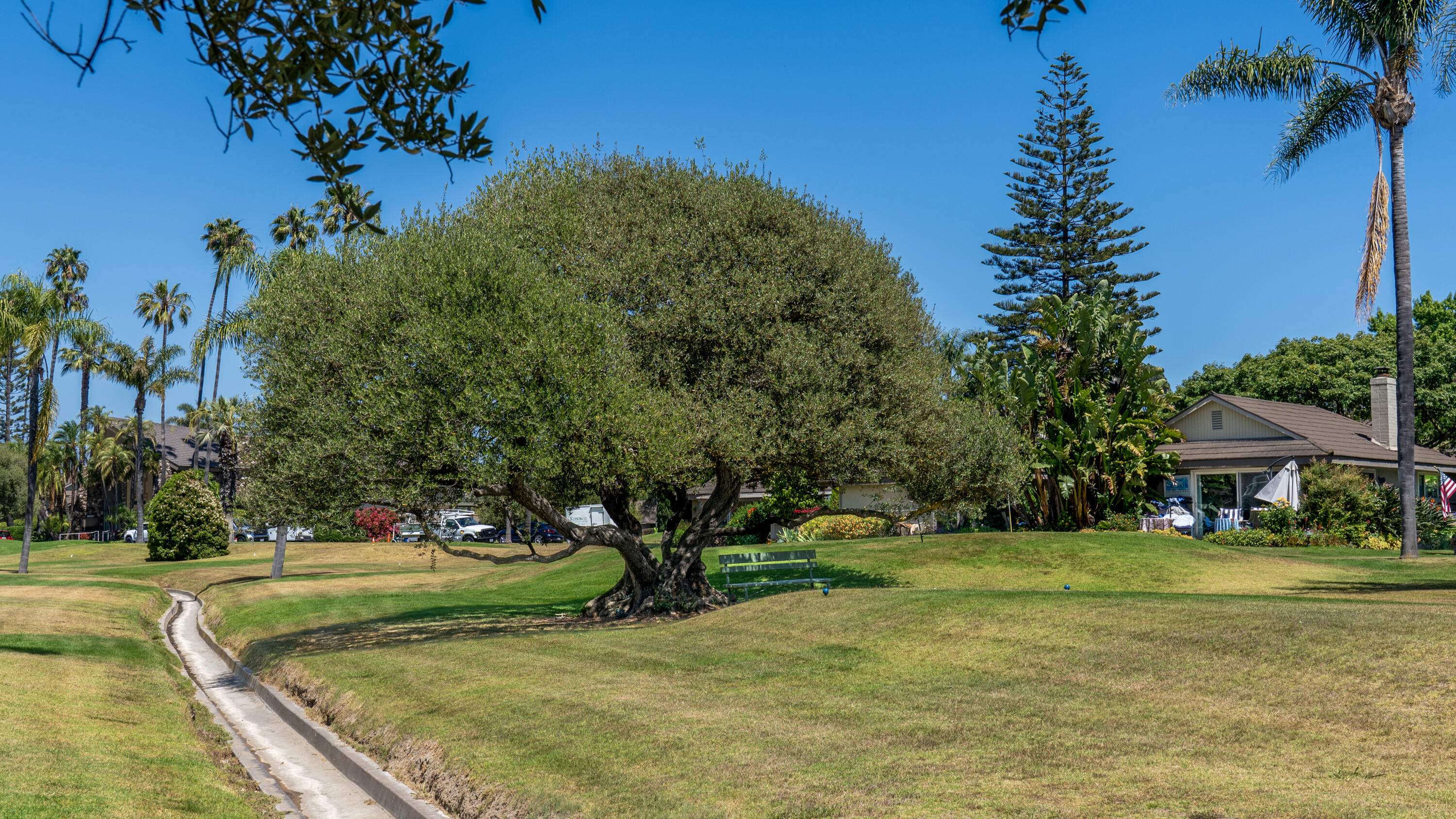 247 Moreton Bay Lane, Unit 1